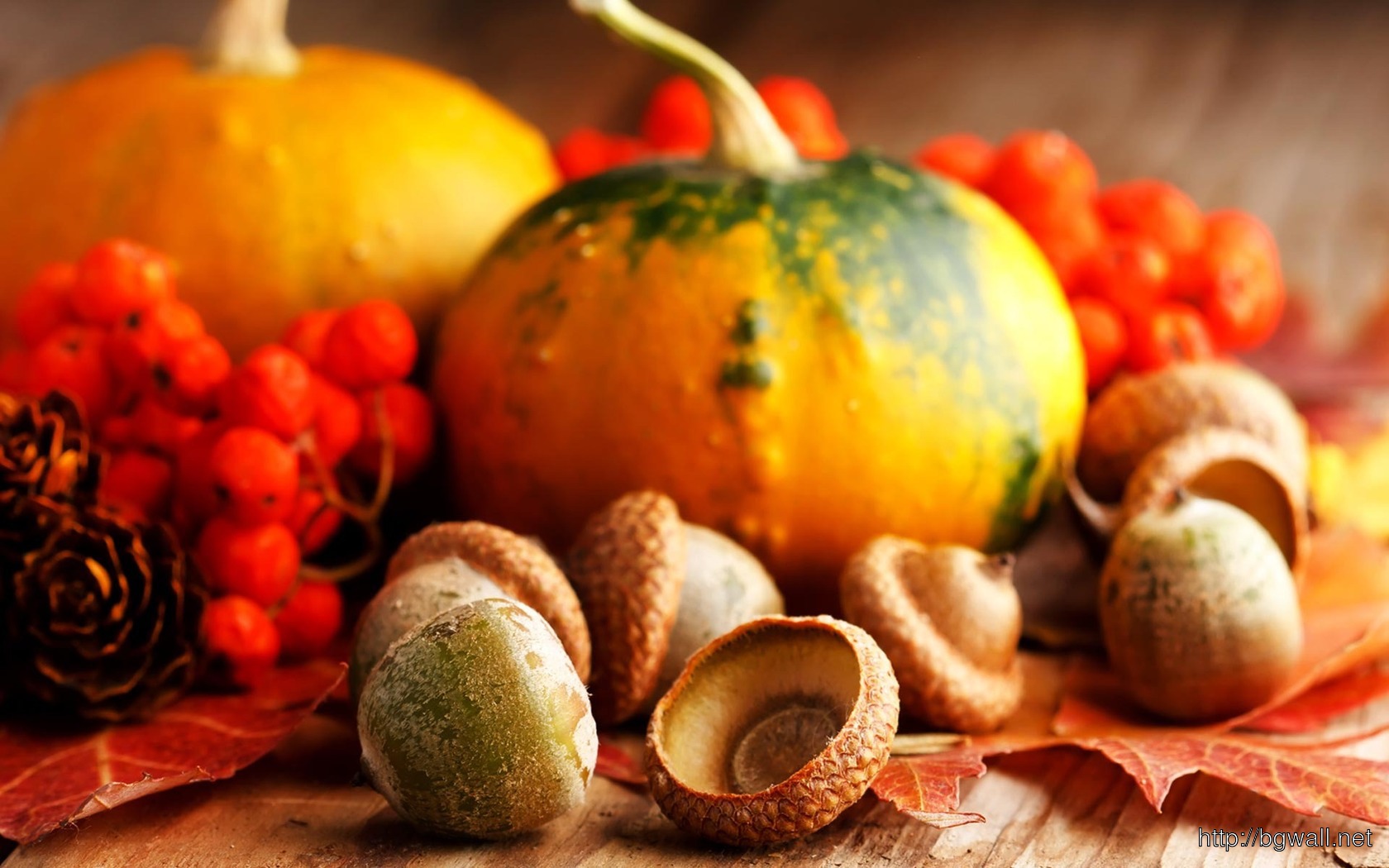 Pumpkins Acorns , HD Wallpaper & Backgrounds