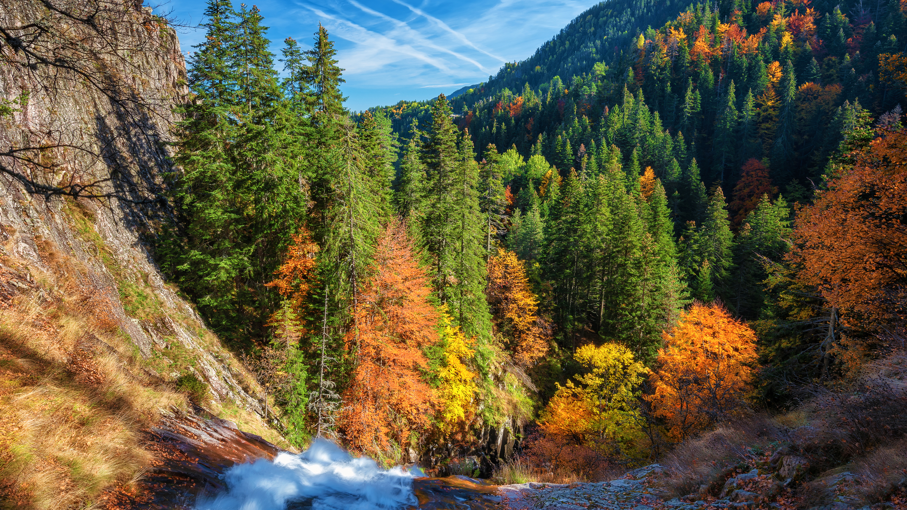 Autumn Forest Chromebook Wallpaper Size 3840 X 2160 - Fall Backgrounds For Chromebook , HD Wallpaper & Backgrounds