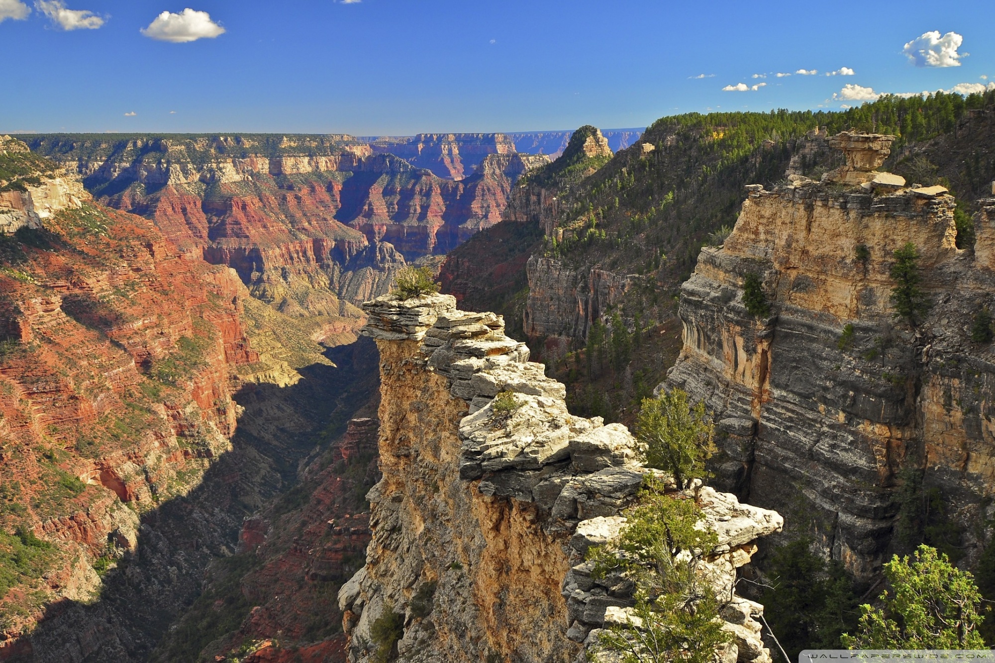 Grand Canyon Hd Hd Wallpaper - Highest Point Of The Grand Canyon , HD Wallpaper & Backgrounds