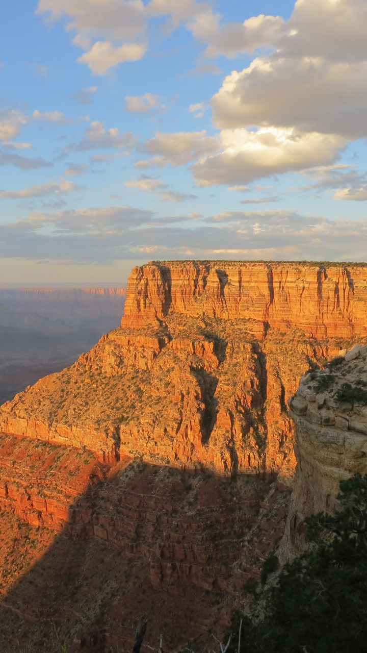 Cloud, Mount Scenery, Grand Canyon, Tree, Canyon Hd - Grand Canyon , HD Wallpaper & Backgrounds