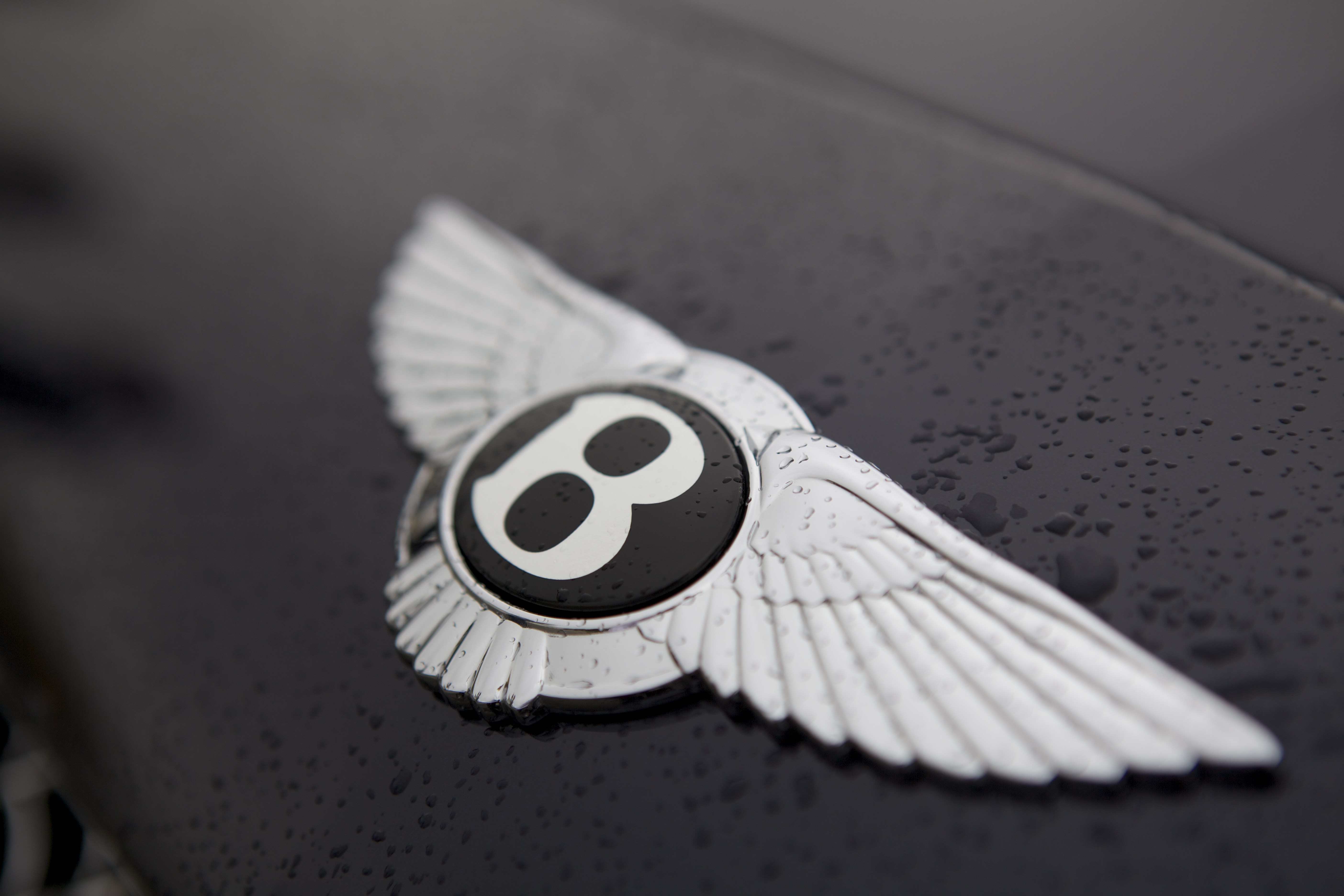 Hd Wallpaper Bentley Logo , HD Wallpaper & Backgrounds