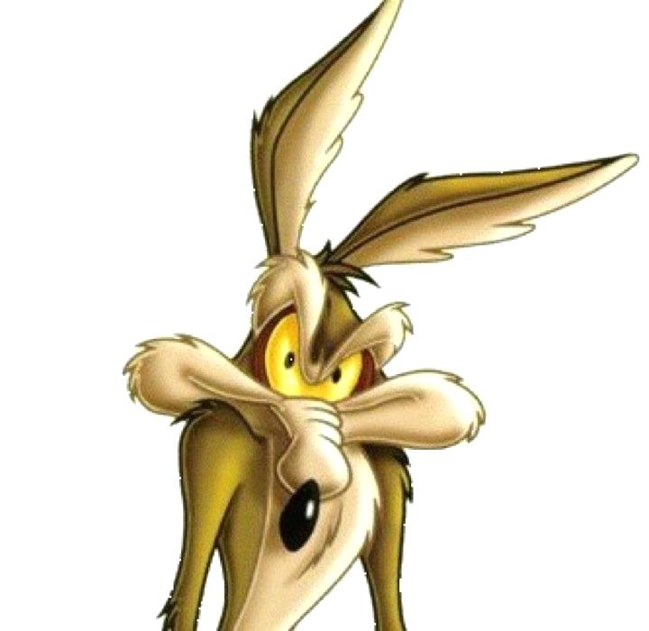 Looney Tunes Wall Paper Tunes Images My Wallpaper And - Wile E Coyote , HD Wallpaper & Backgrounds