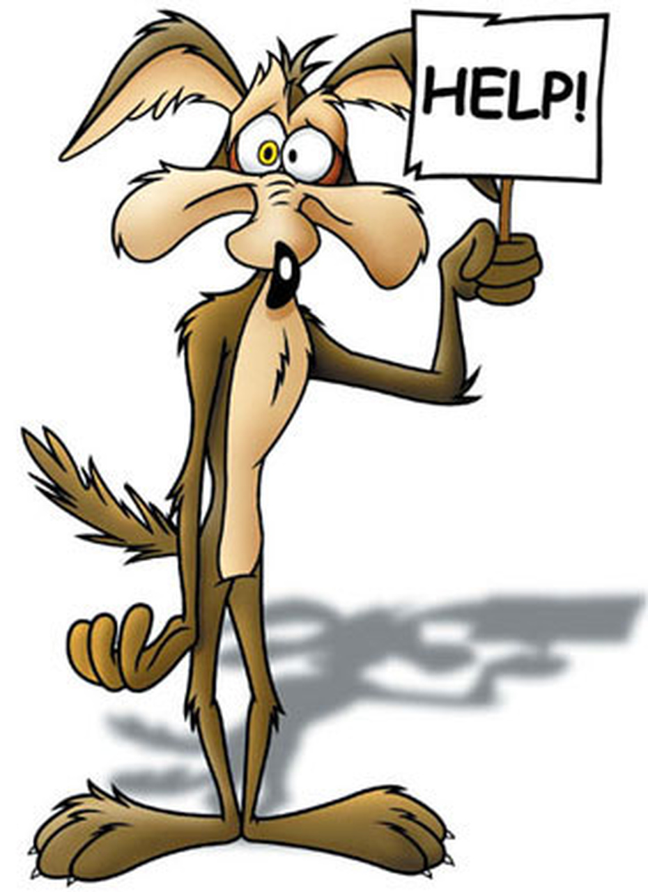 Looney Tunes Wallpapers - Wile E Coyote , HD Wallpaper & Backgrounds