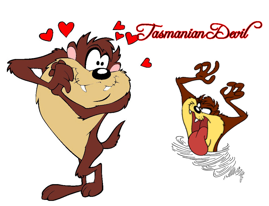 Tasmanian Devil In Love , HD Wallpaper & Backgrounds
