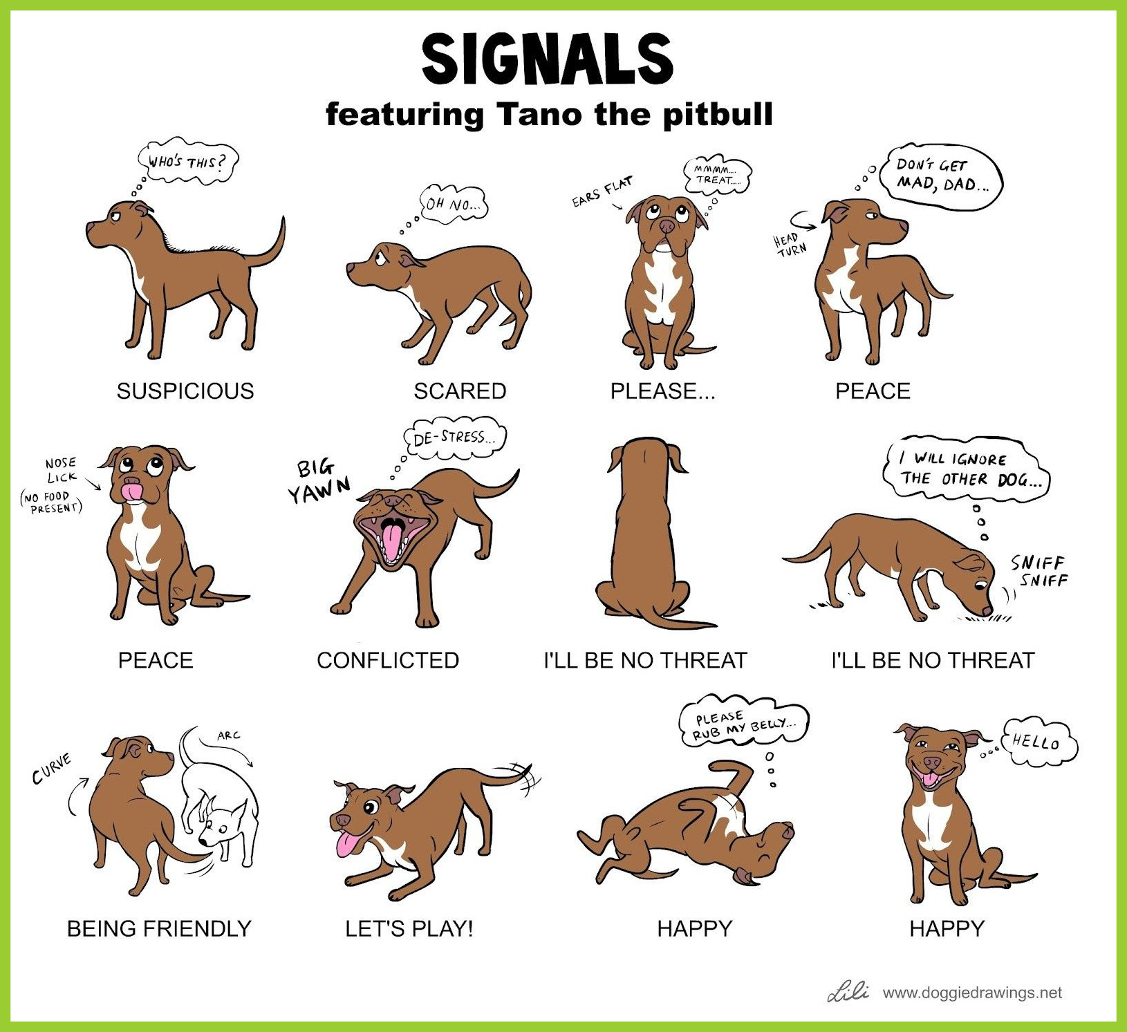 Pitbull Dog Wallpaper - Dog Body Language , HD Wallpaper & Backgrounds