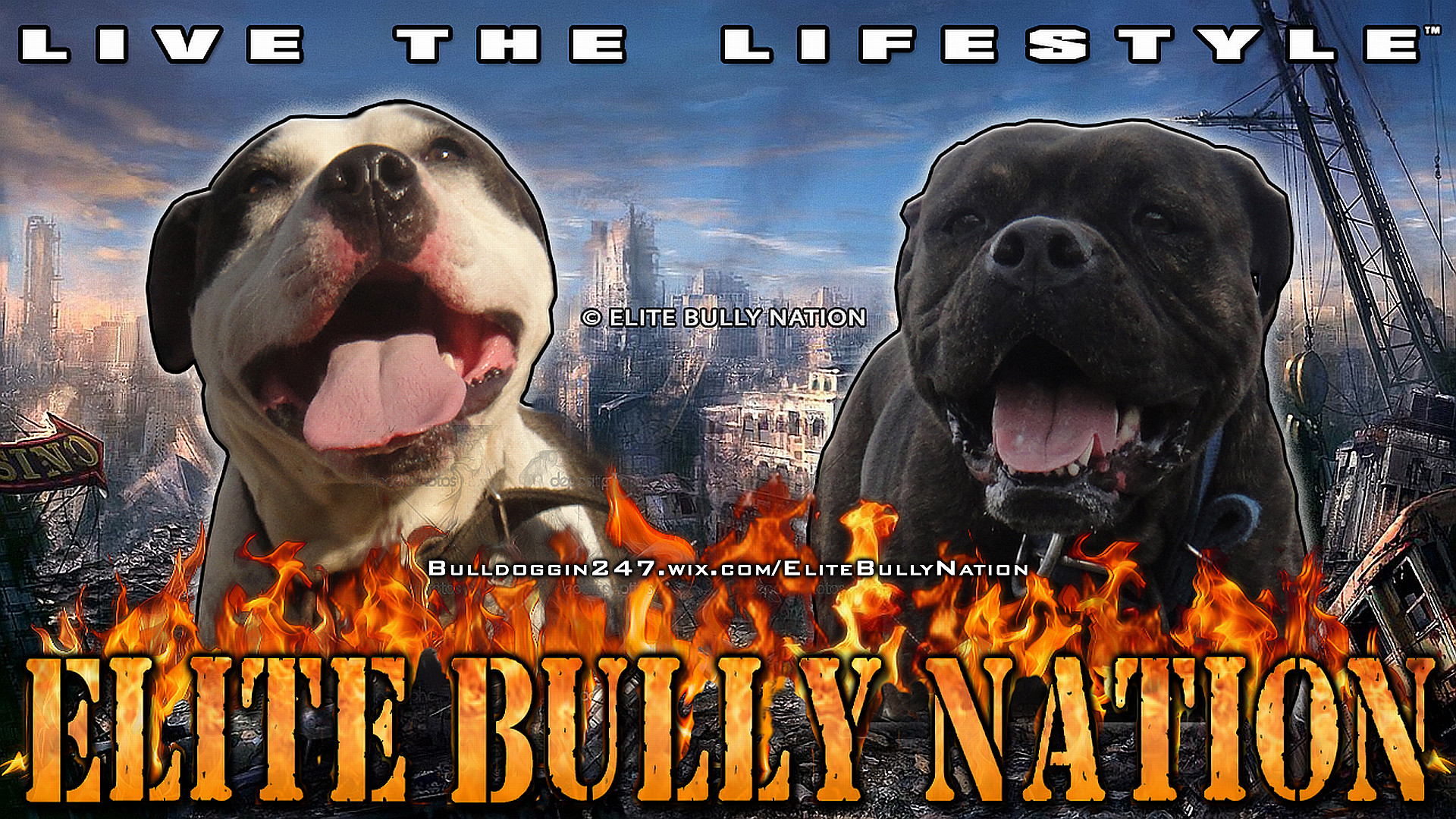 Hd Wallpapers - Elite Bully Nation , HD Wallpaper & Backgrounds