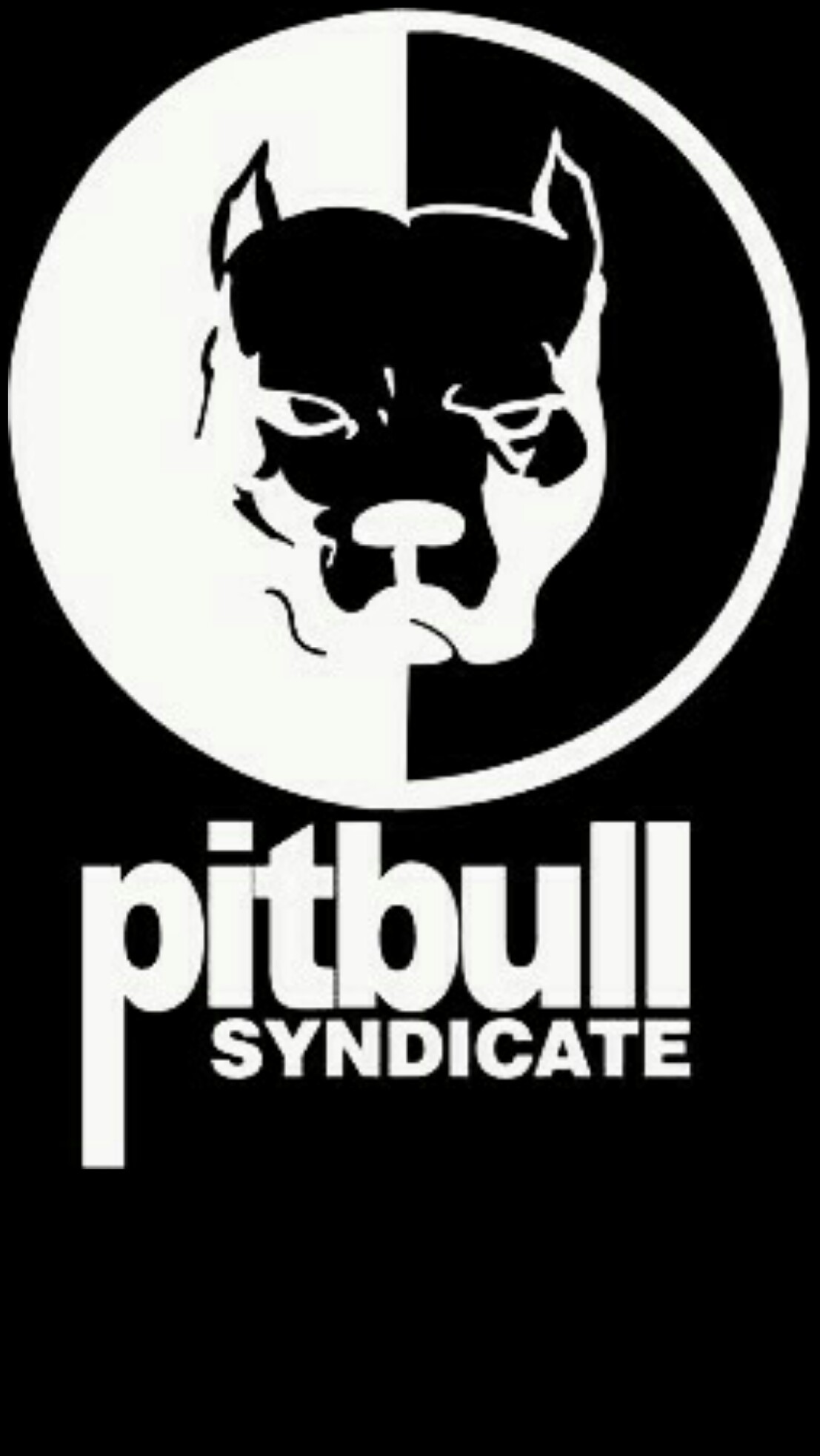 Pit Bull Dog Hd Wallpapers Pit Bull Desktop Images - Pitbull Dog Wallpaper For Iphone , HD Wallpaper & Backgrounds