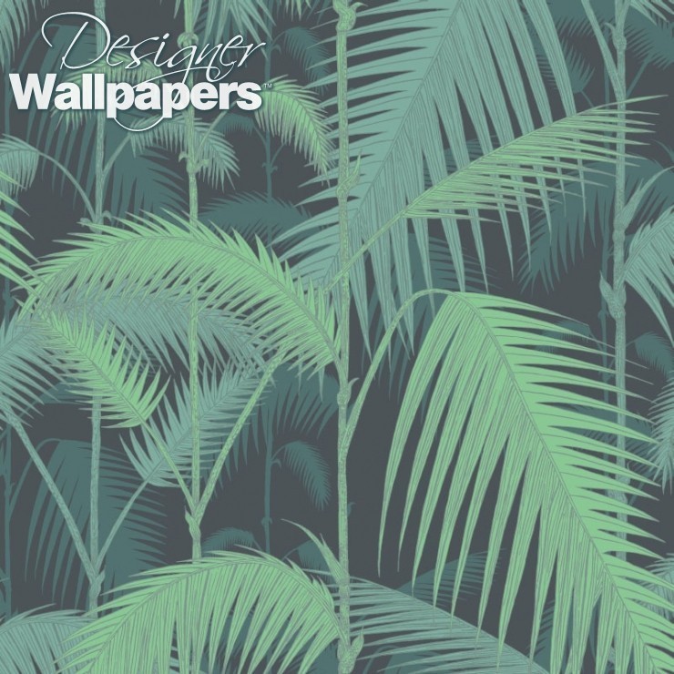 Palm Jungle , HD Wallpaper & Backgrounds