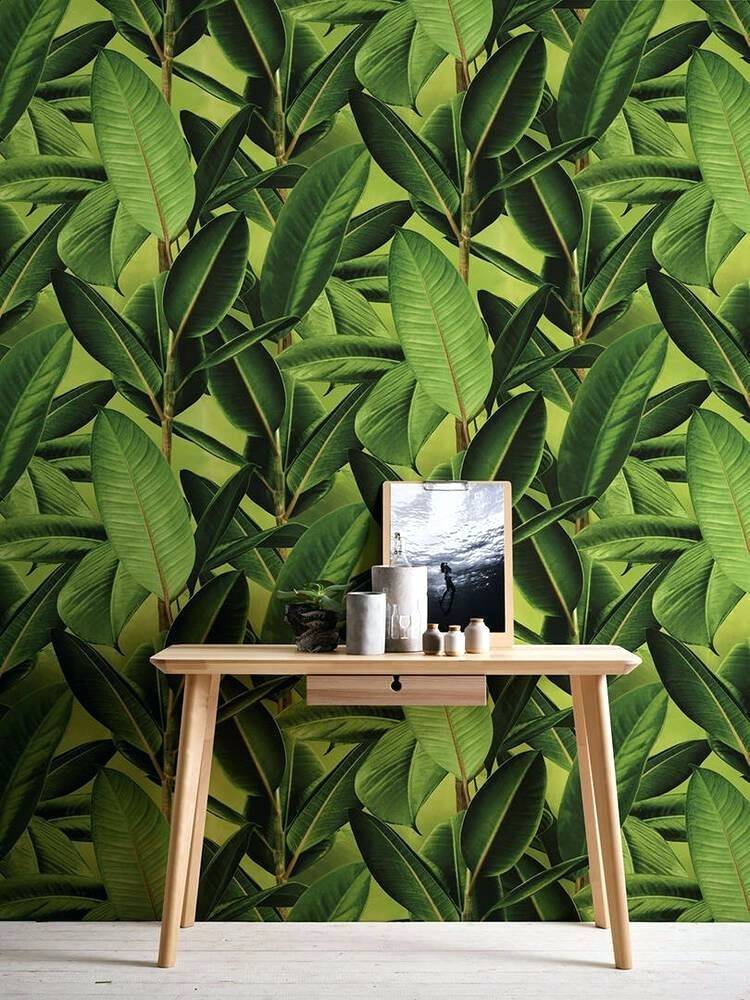 Details About Modern Bold Tropical Palm Leaf Wallpaper - 36201 1 , HD Wallpaper & Backgrounds
