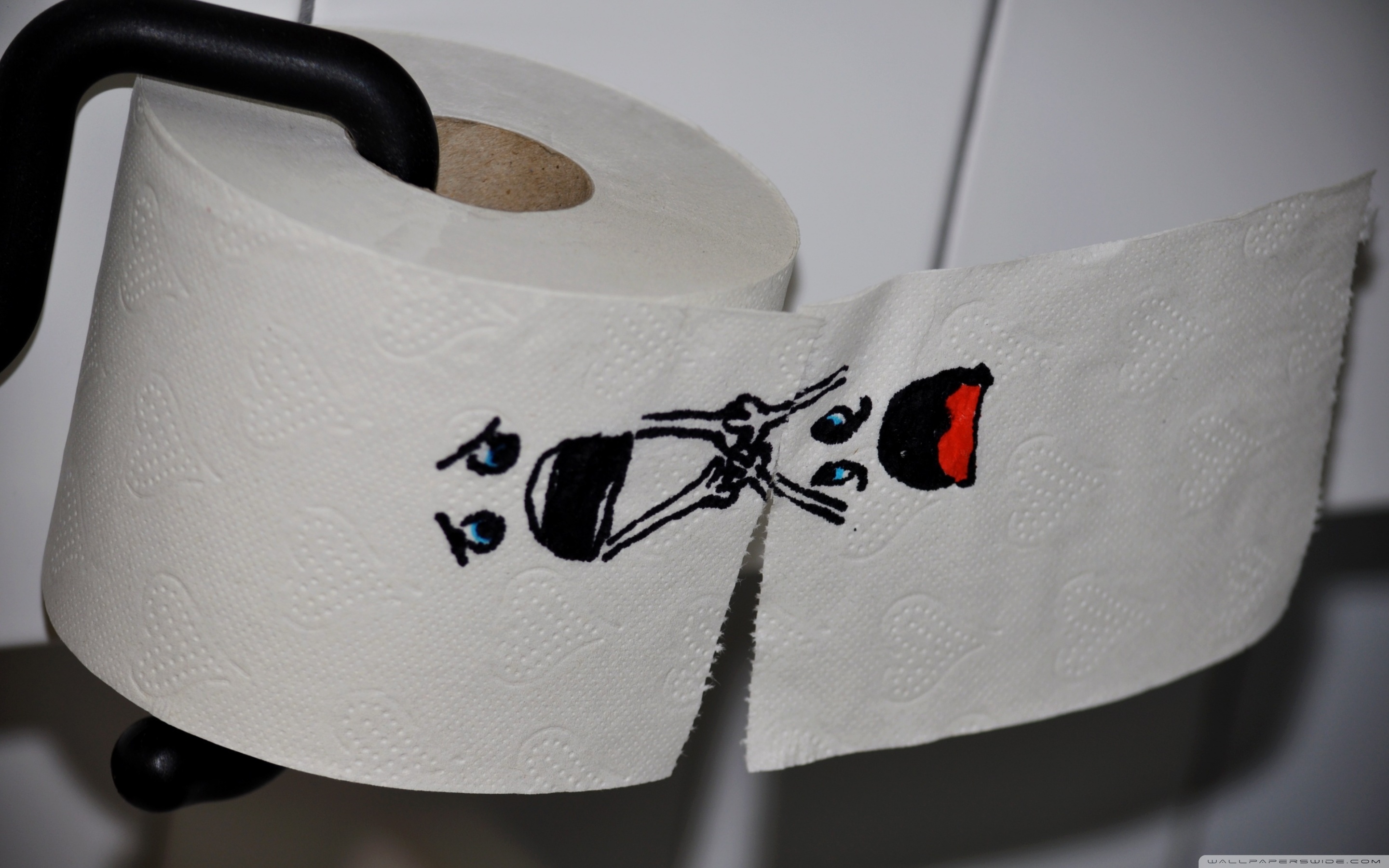 Wide - Funny Toilet Paper , HD Wallpaper & Backgrounds