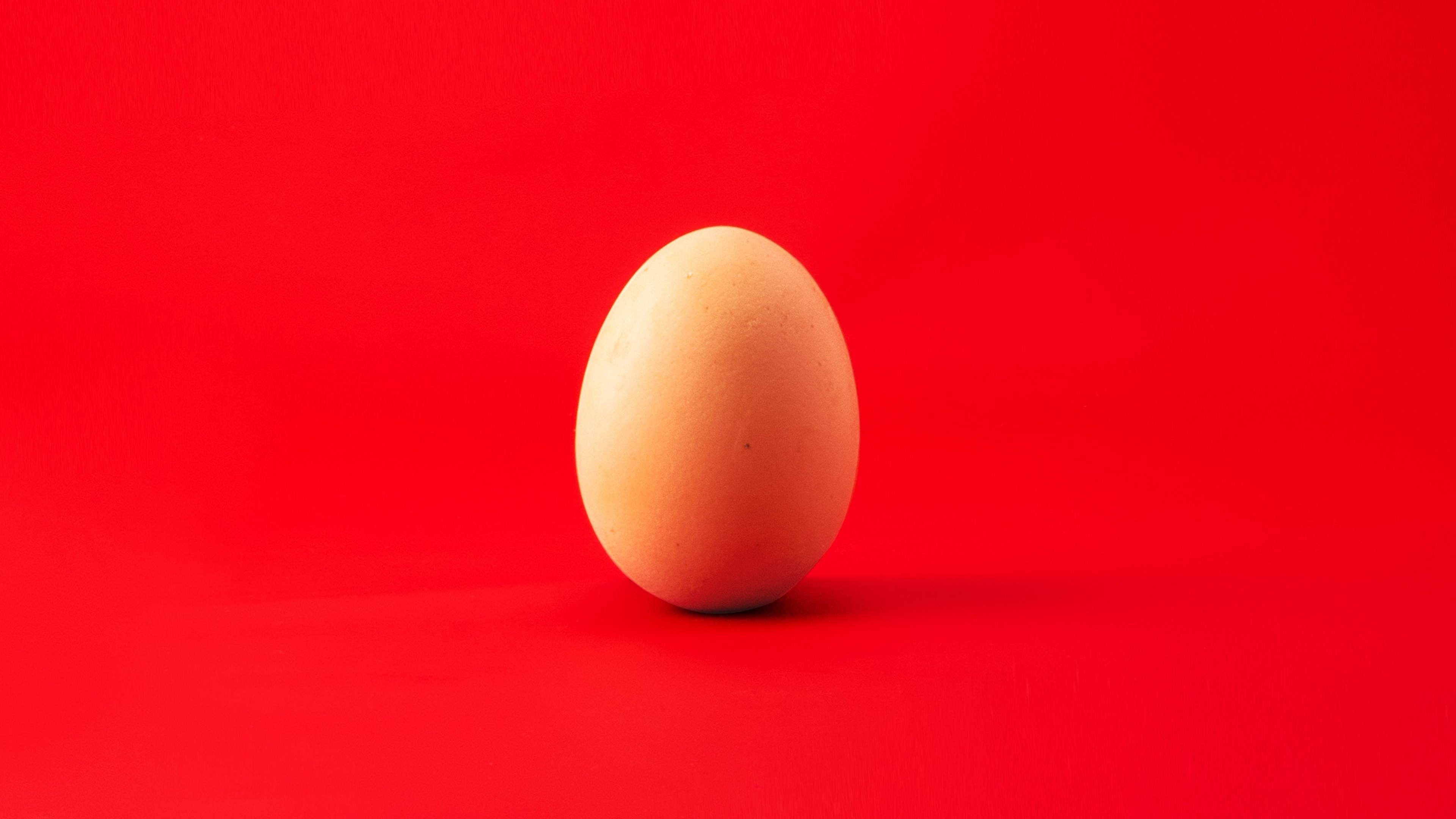 Chicken Egg Hd Wallpaper - Egg With Red Background , HD Wallpaper & Backgrounds