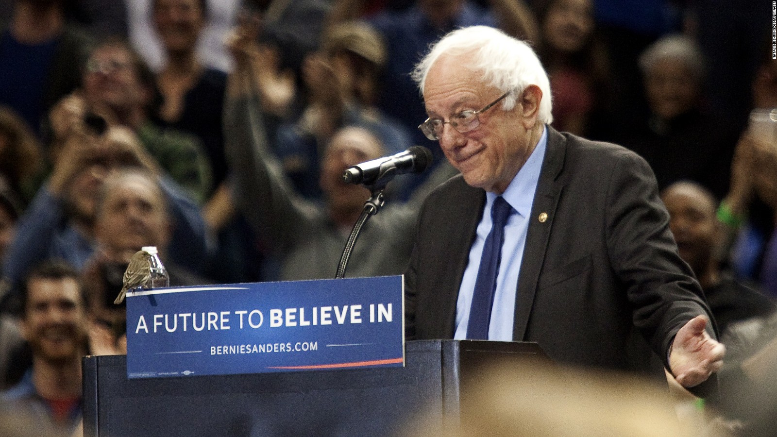 Bernie Sanders Wins Washington - Bernie Sanders Bird , HD Wallpaper & Backgrounds