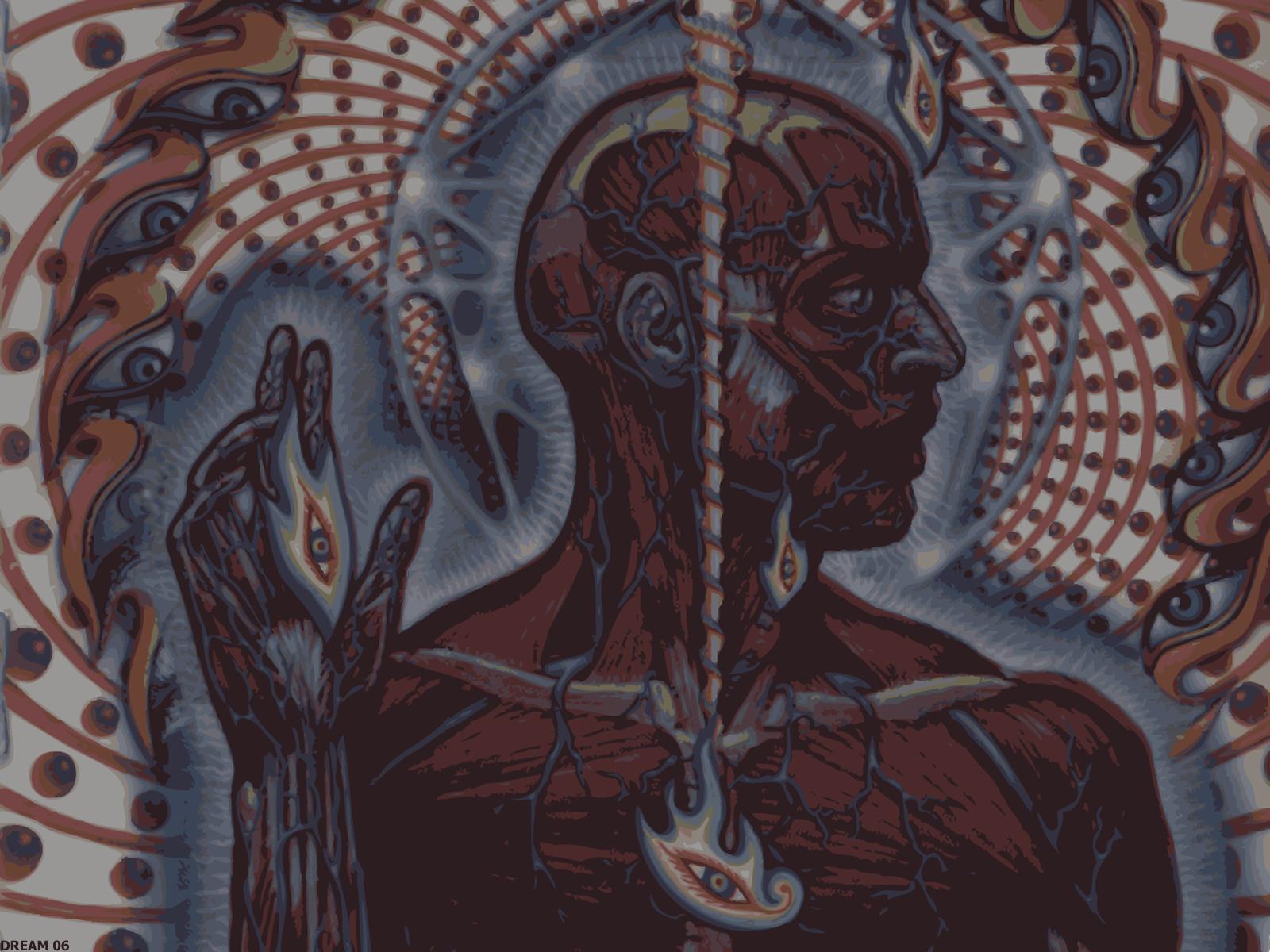 Alex Grey Wallpapers Group - Tool Lateralus , HD Wallpaper & Backgrounds