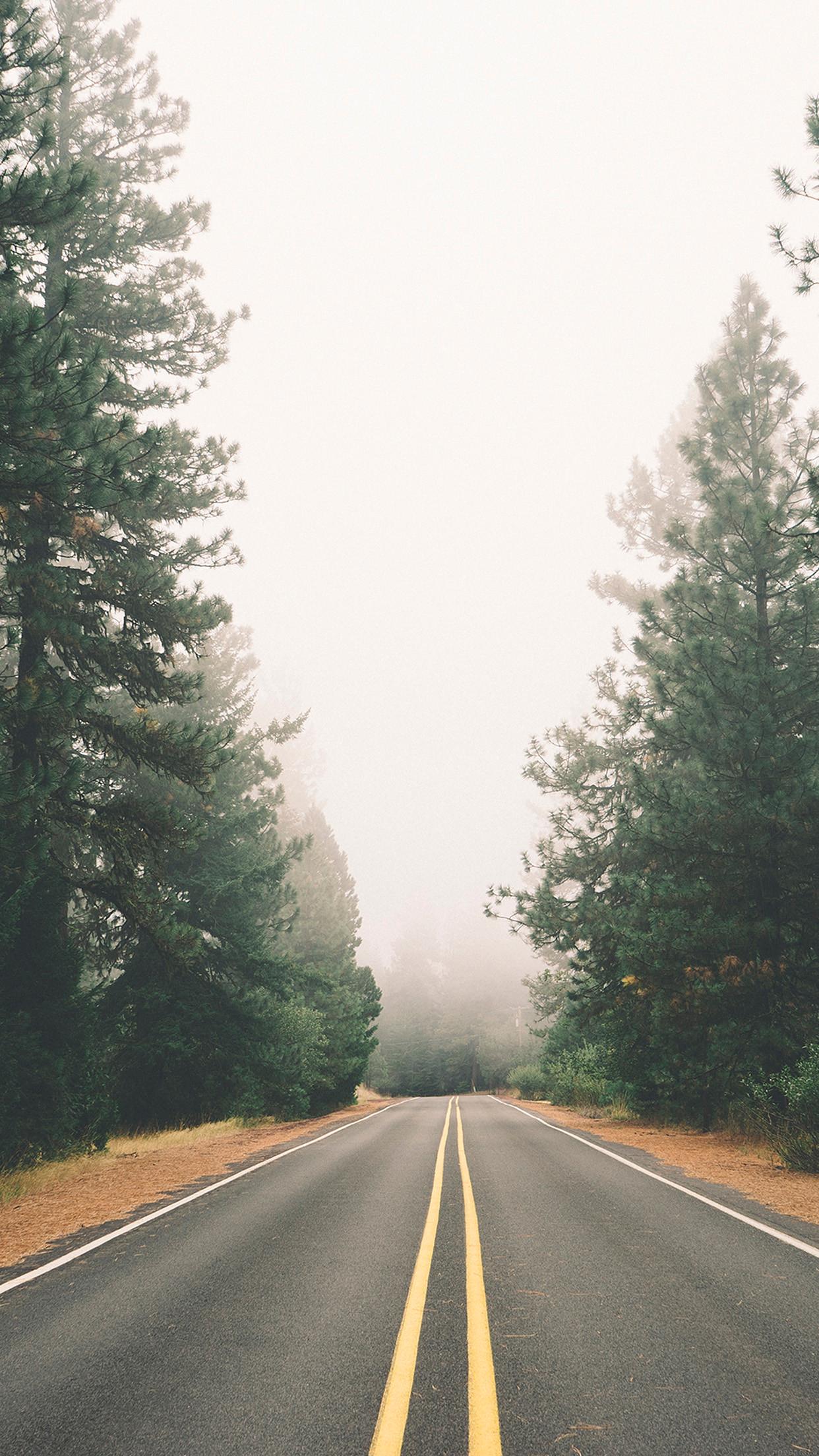 Peaceful Iphone Wallpaper - Road And Forest , HD Wallpaper & Backgrounds