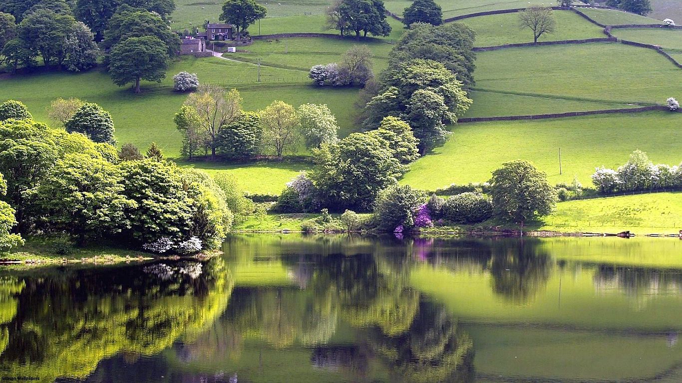 Tranquil Lake Green Meadow Trees Nature Peace Of Mind - Desktop Background Nature 3d , HD Wallpaper & Backgrounds