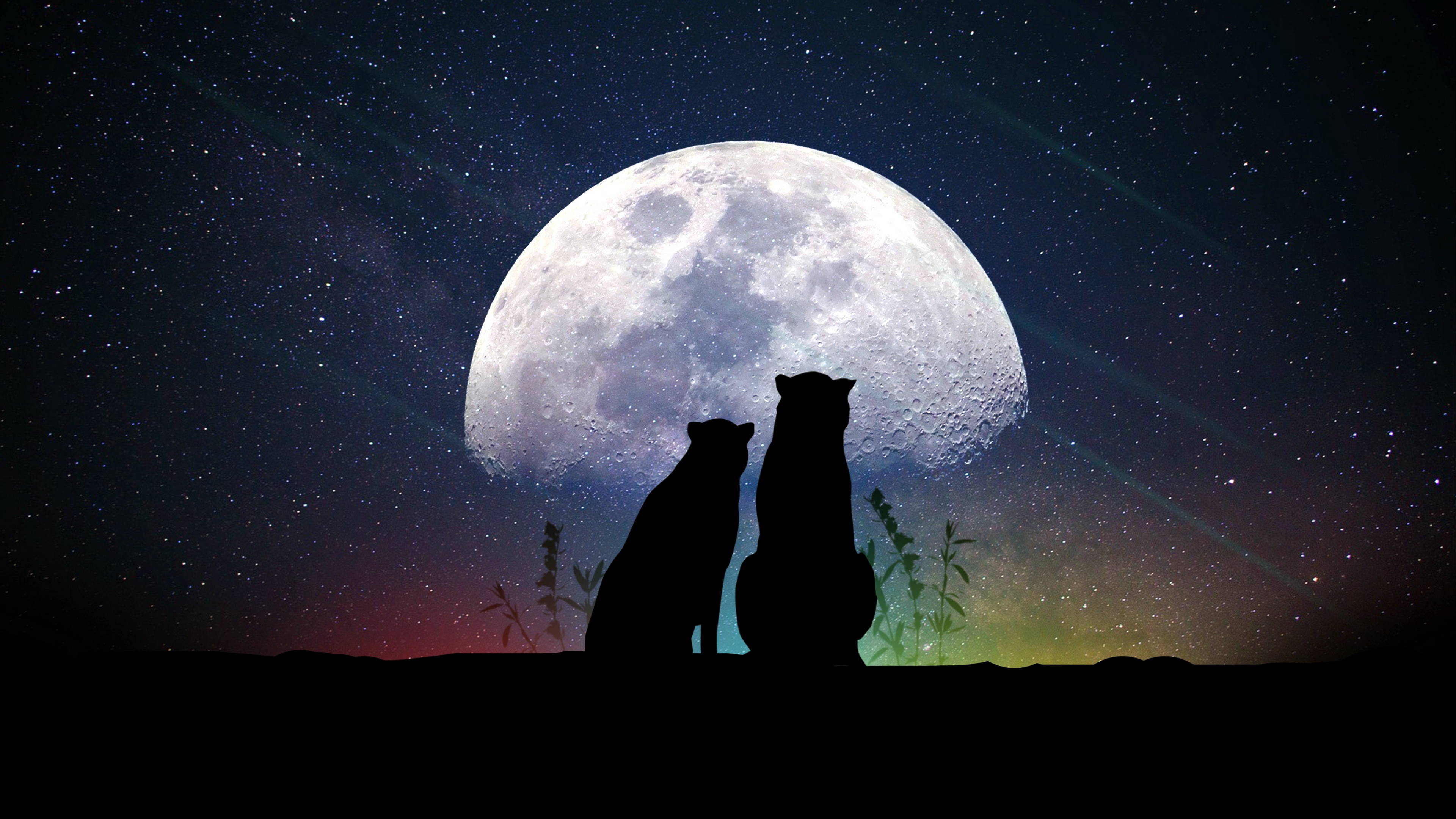 Wallpaper Animals, Moon, Silhouettes, Starry Sky - Луна Звездное Небо , HD Wallpaper & Backgrounds