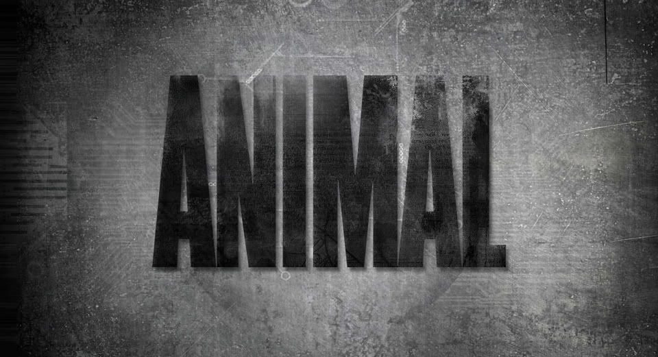 Universal Animal , HD Wallpaper & Backgrounds