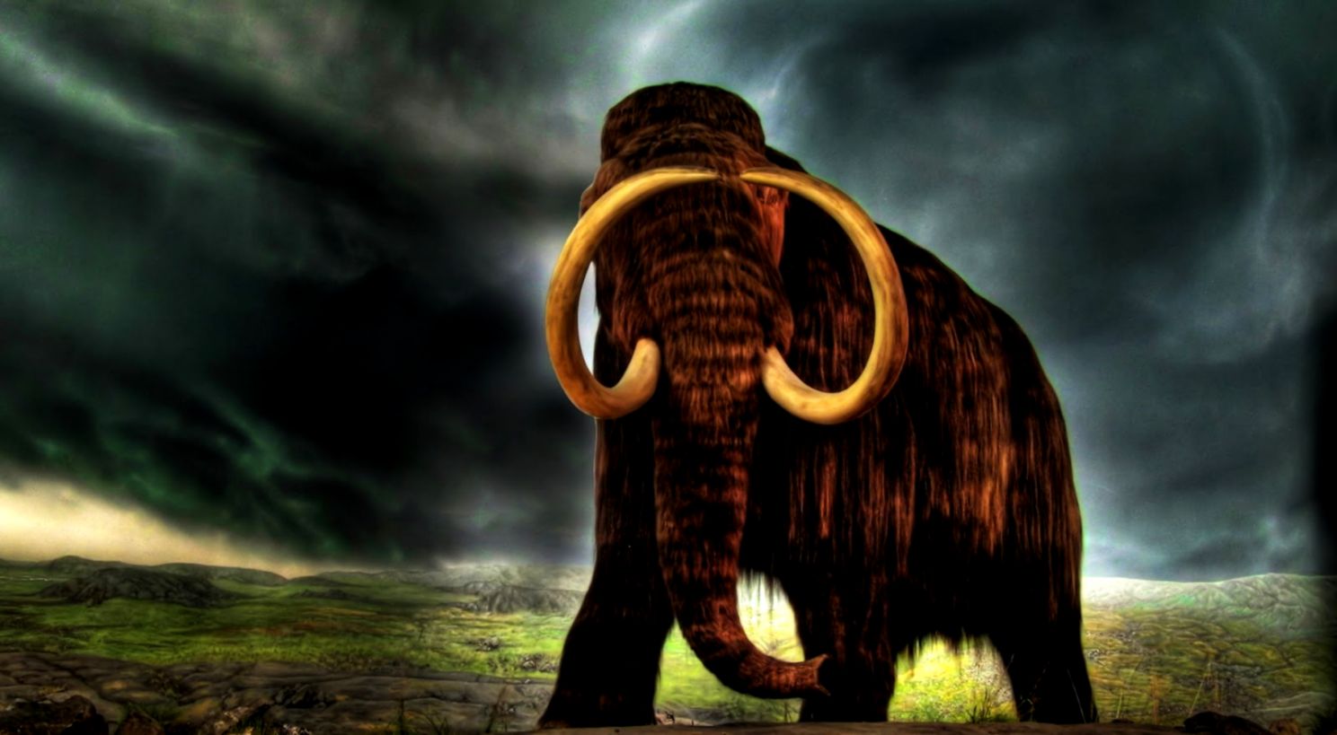 Revolution Wallpaper Animal Hd Wallpaper 1080p Chainimage - Woolly Mammoth Hd , HD Wallpaper & Backgrounds