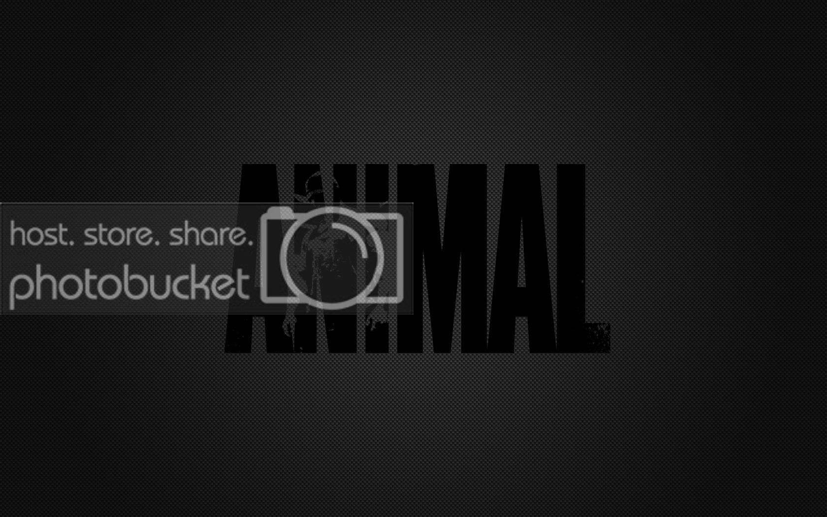 Animal Pak Wallpapers Bodybuilding Com Forums Darkness (2130711