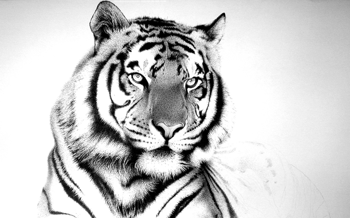 White And Black Tigers Pictures Dowload - Black And White Photography Animals , HD Wallpaper & Backgrounds