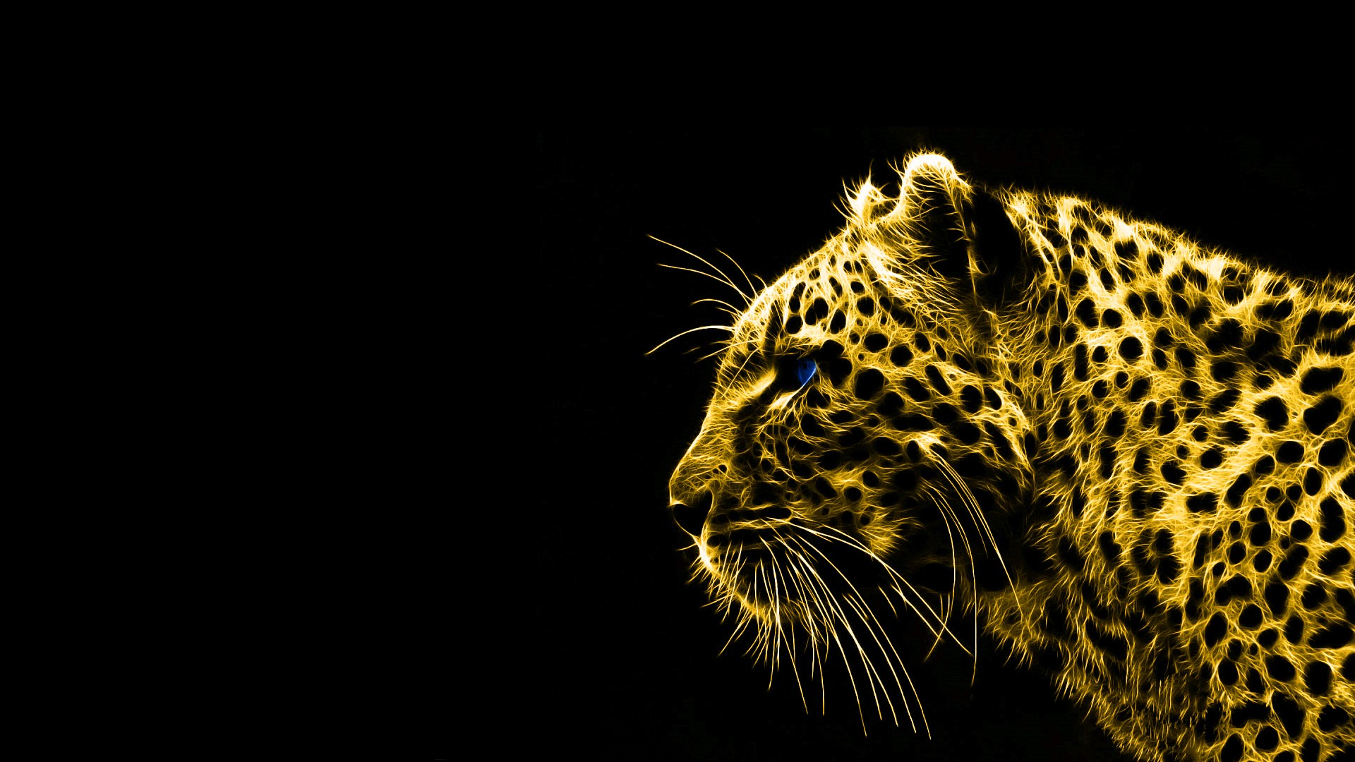 Animals Gold Spirit Leopards Black Background Hd Wallpaper - Black And Gold Animals , HD Wallpaper & Backgrounds