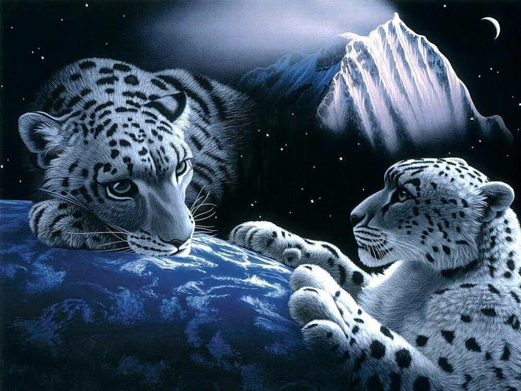 Free 3d Moving Screensavers - Snow Leopard In Space , HD Wallpaper & Backgrounds