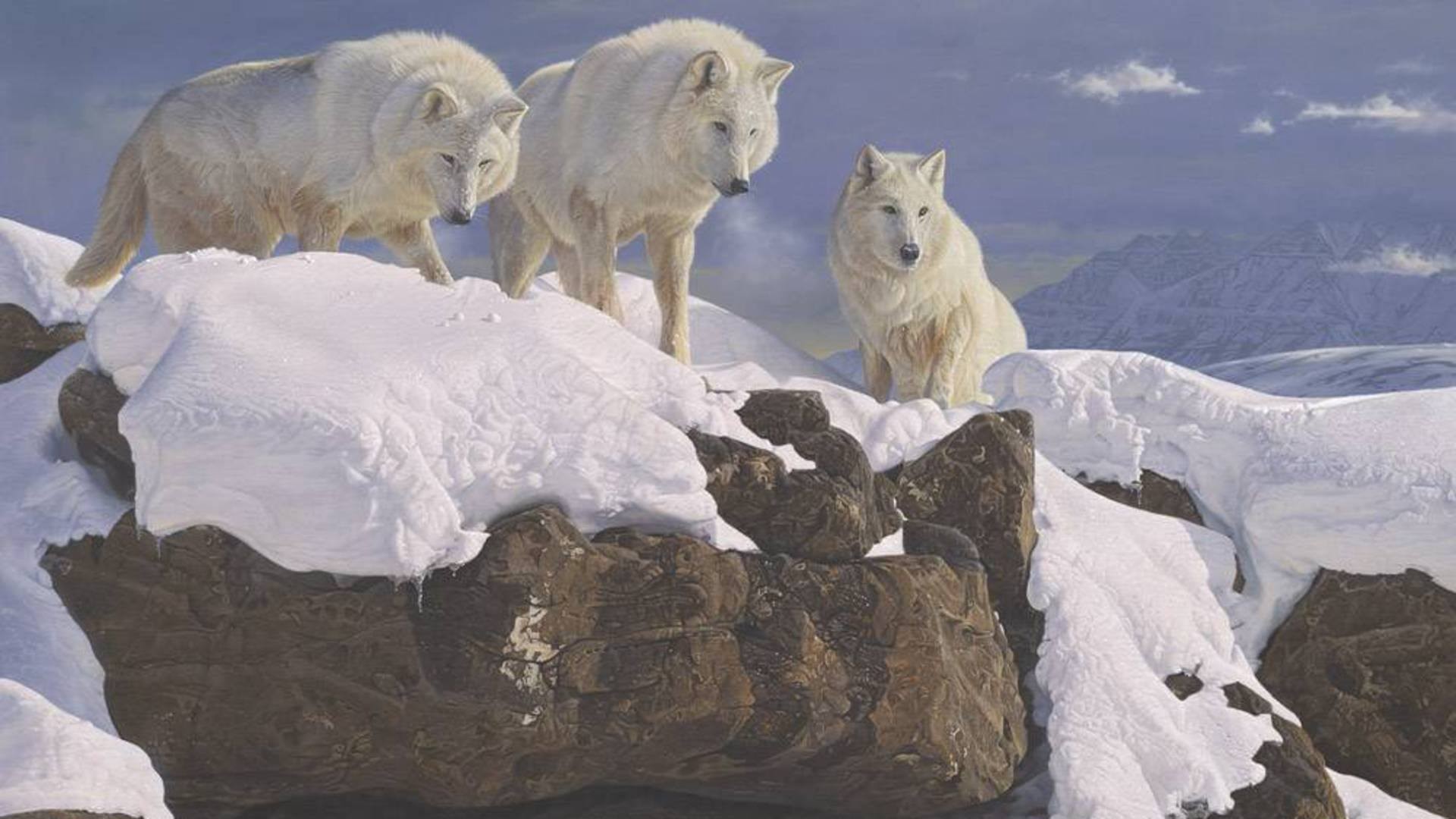 Painting Animals Sky Wolves Snow Mountains Nature Painted - Canis Lupus Tundrarum , HD Wallpaper & Backgrounds