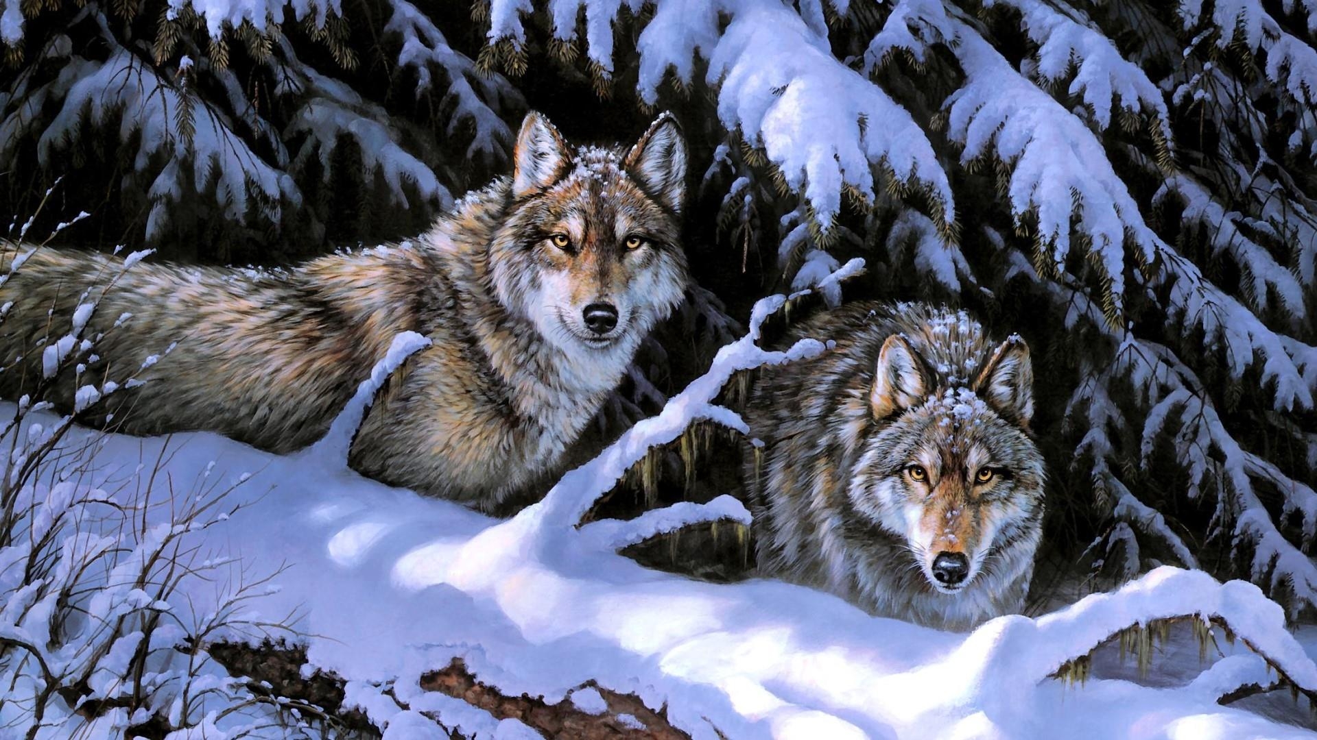 Download <== Hd Winter Animal Wallpaper - Animal Painting 1920x1080 Wallpaper Hd , HD Wallpaper & Backgrounds