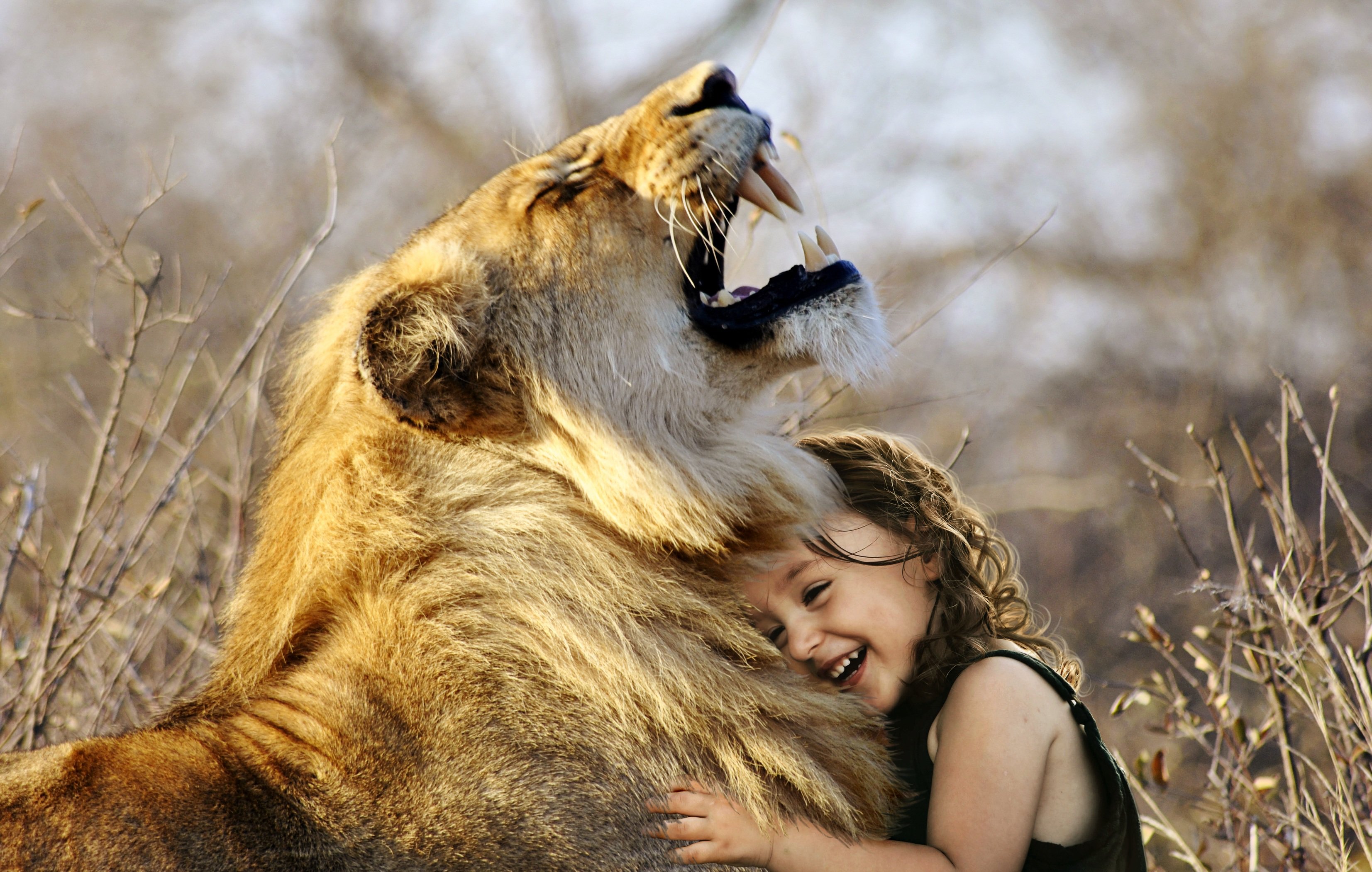 Love Lion And Girl , HD Wallpaper & Backgrounds