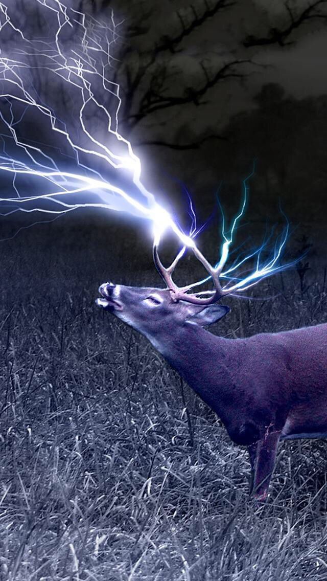 Animals Wallpapers Iphone - Lightning Deer , HD Wallpaper & Backgrounds