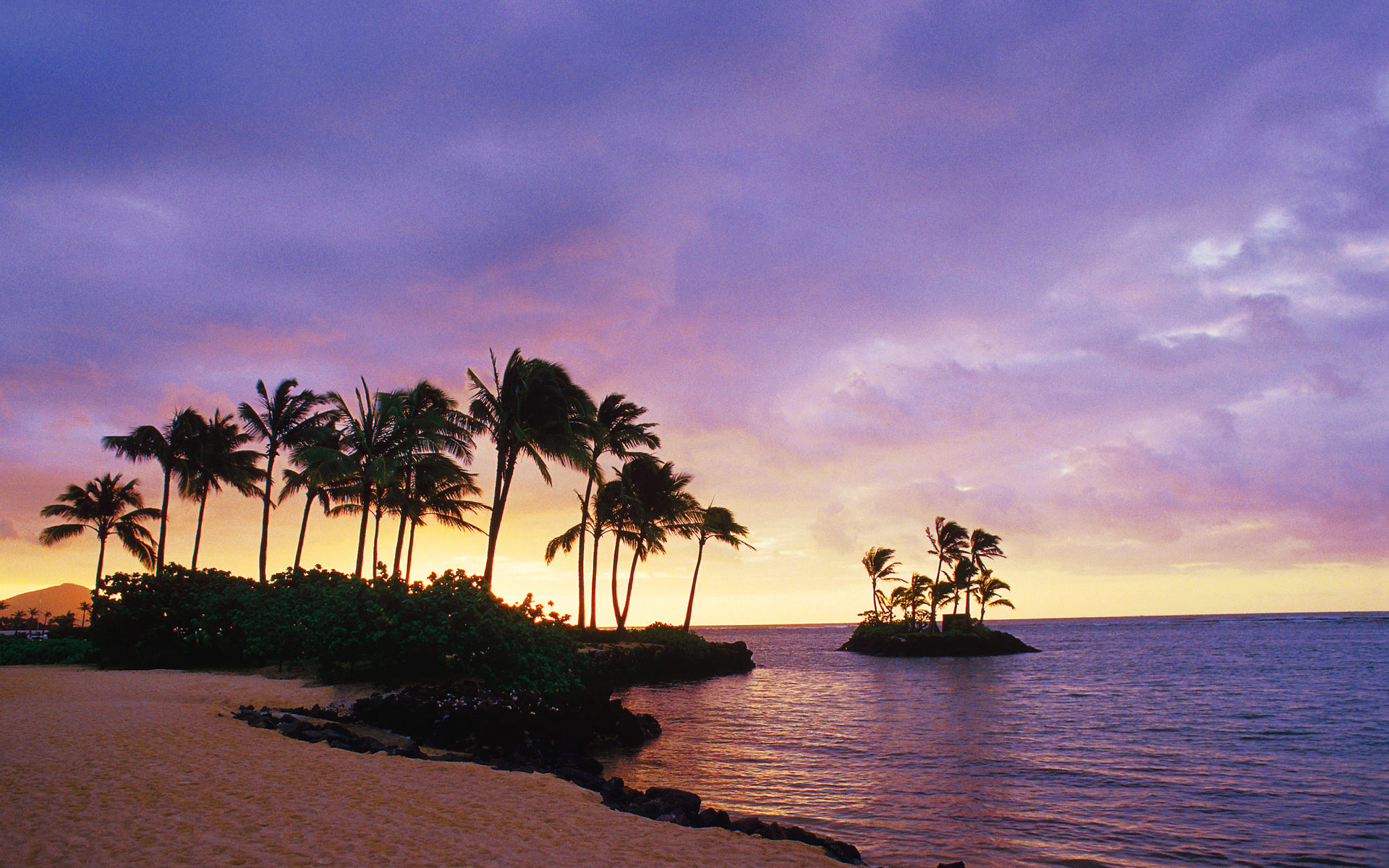 Download - Honolulu Hawaii Backgrounds , HD Wallpaper & Backgrounds