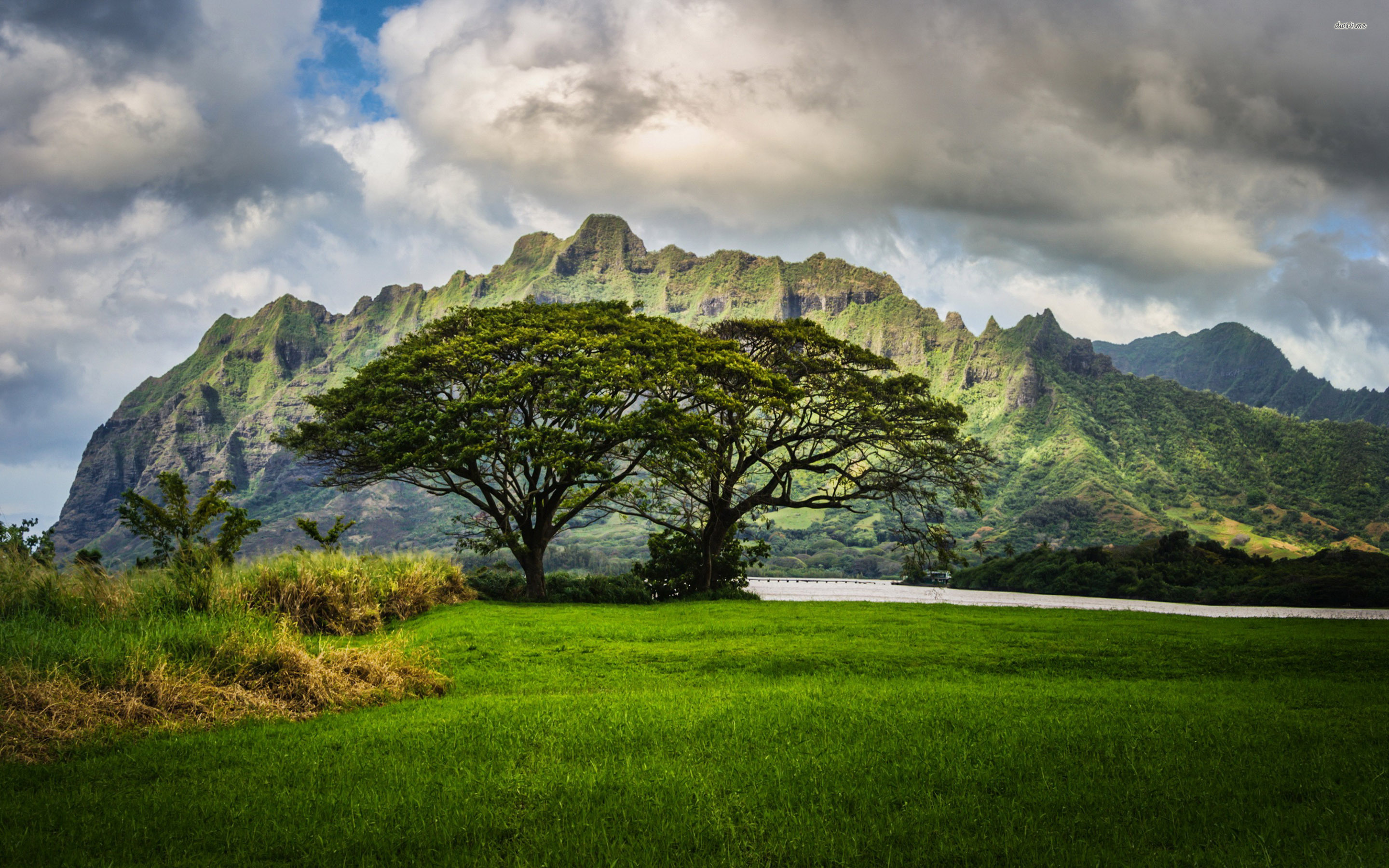 Mountains In Oahu Wallpaper - Hawaii Landscape , HD Wallpaper & Backgrounds