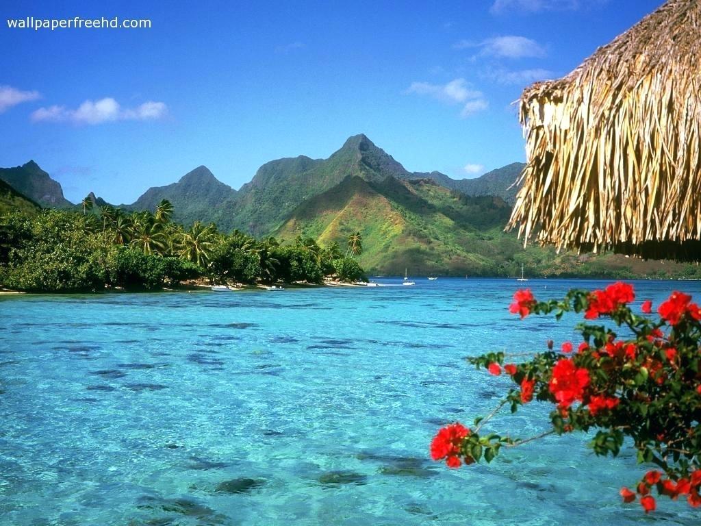 Hawaii Wallpaper Free Wallpapers Wallpaper Cave Hawaii - Beautiful Lakes , HD Wallpaper & Backgrounds