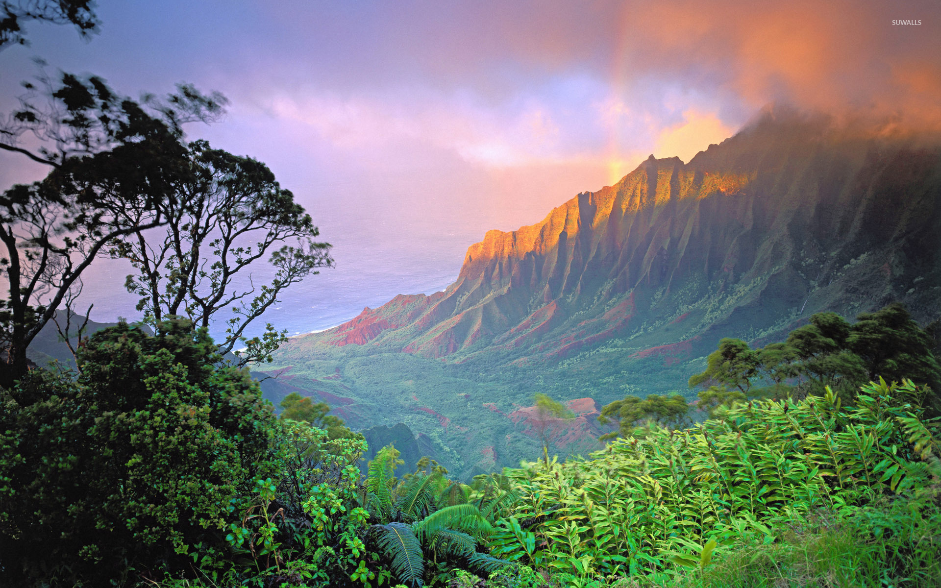 Hawaii Wallpaper Nature Wallpapers - Hawaii 4k , HD Wallpaper & Backgrounds