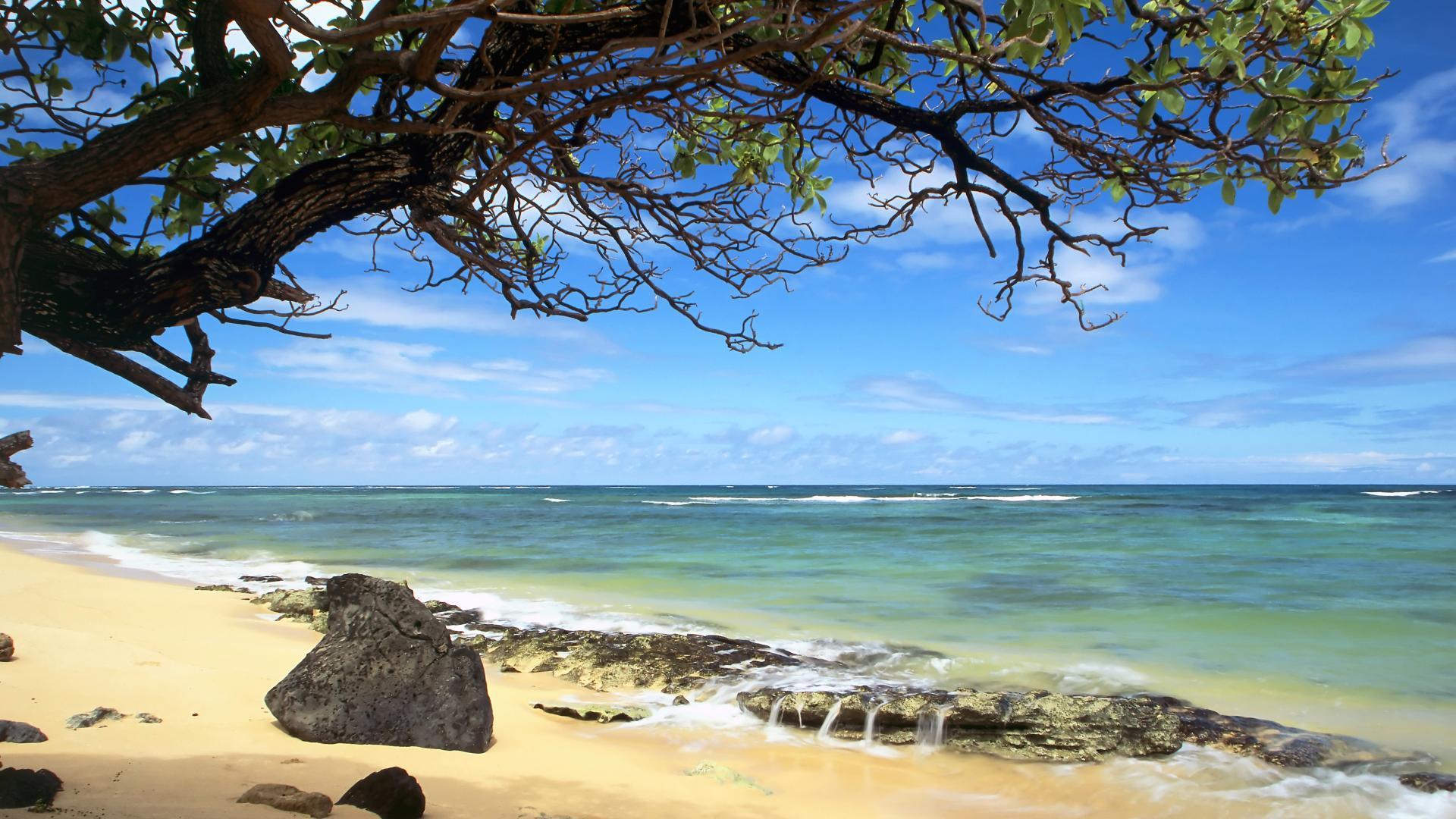 Oahu Hawaii Wallpaper - Hawaii Beach Landscape , HD Wallpaper & Backgrounds