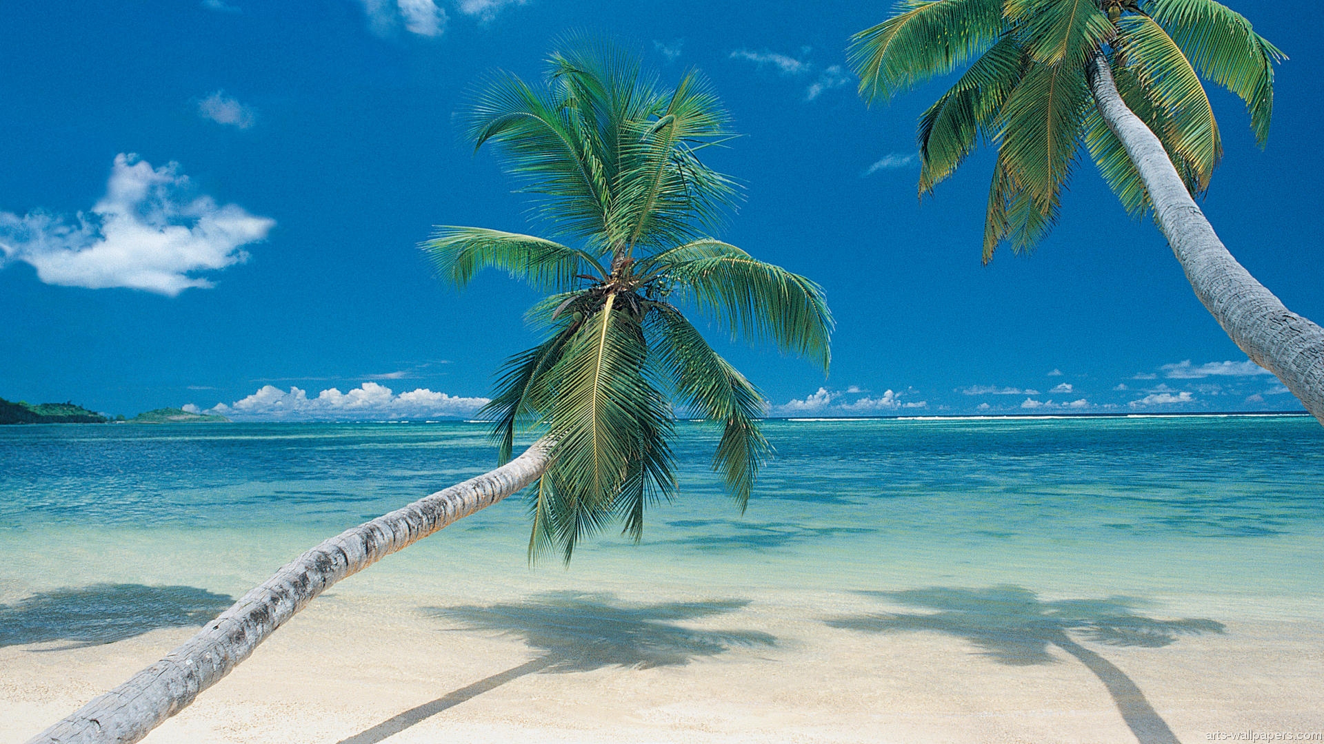 Tropical Paradise Wallpapers, Hawaii, Maldives, Tahiti - Mexico Beaches , HD Wallpaper & Backgrounds