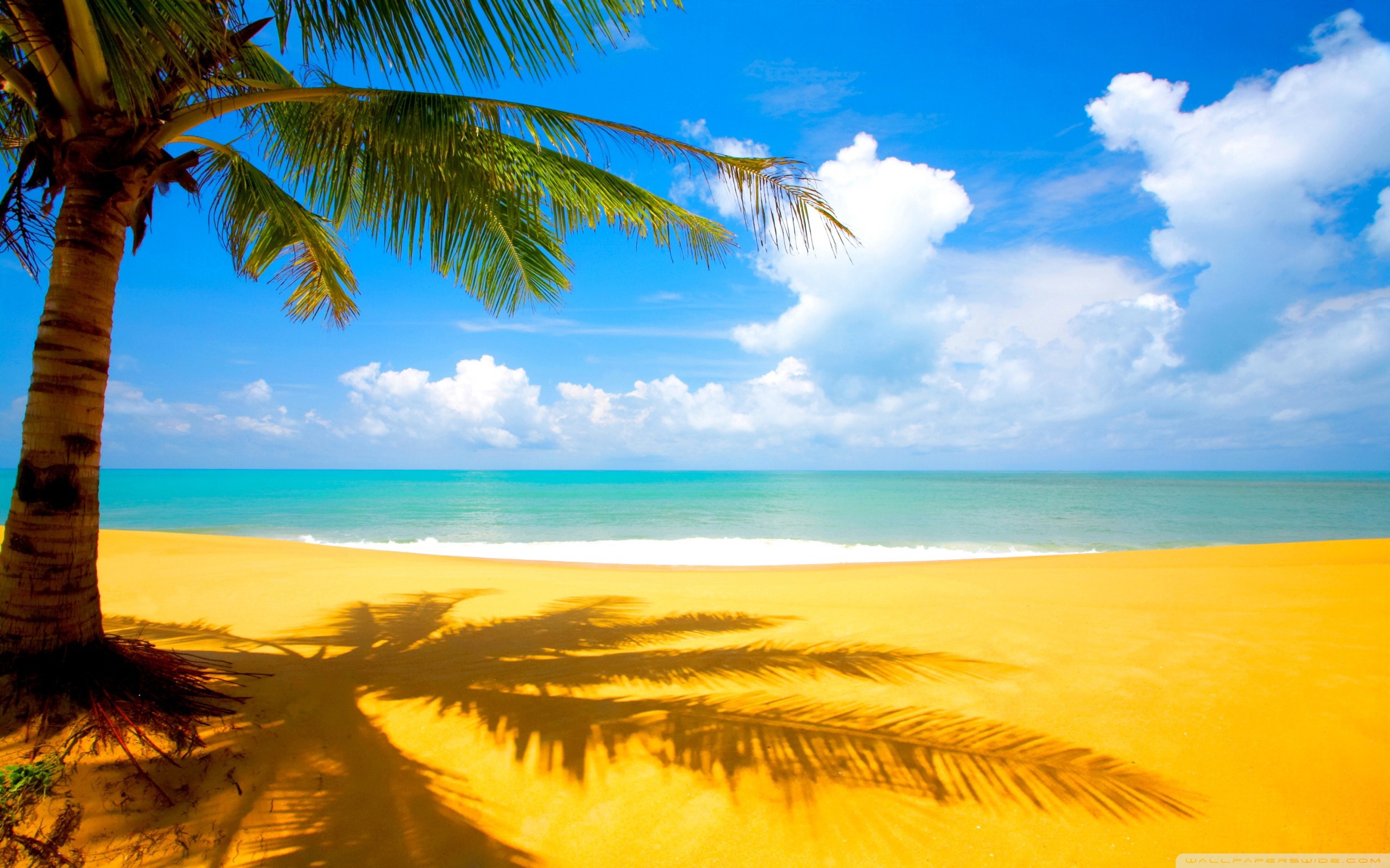 Wide - Sunny Day At The Beach , HD Wallpaper & Backgrounds
