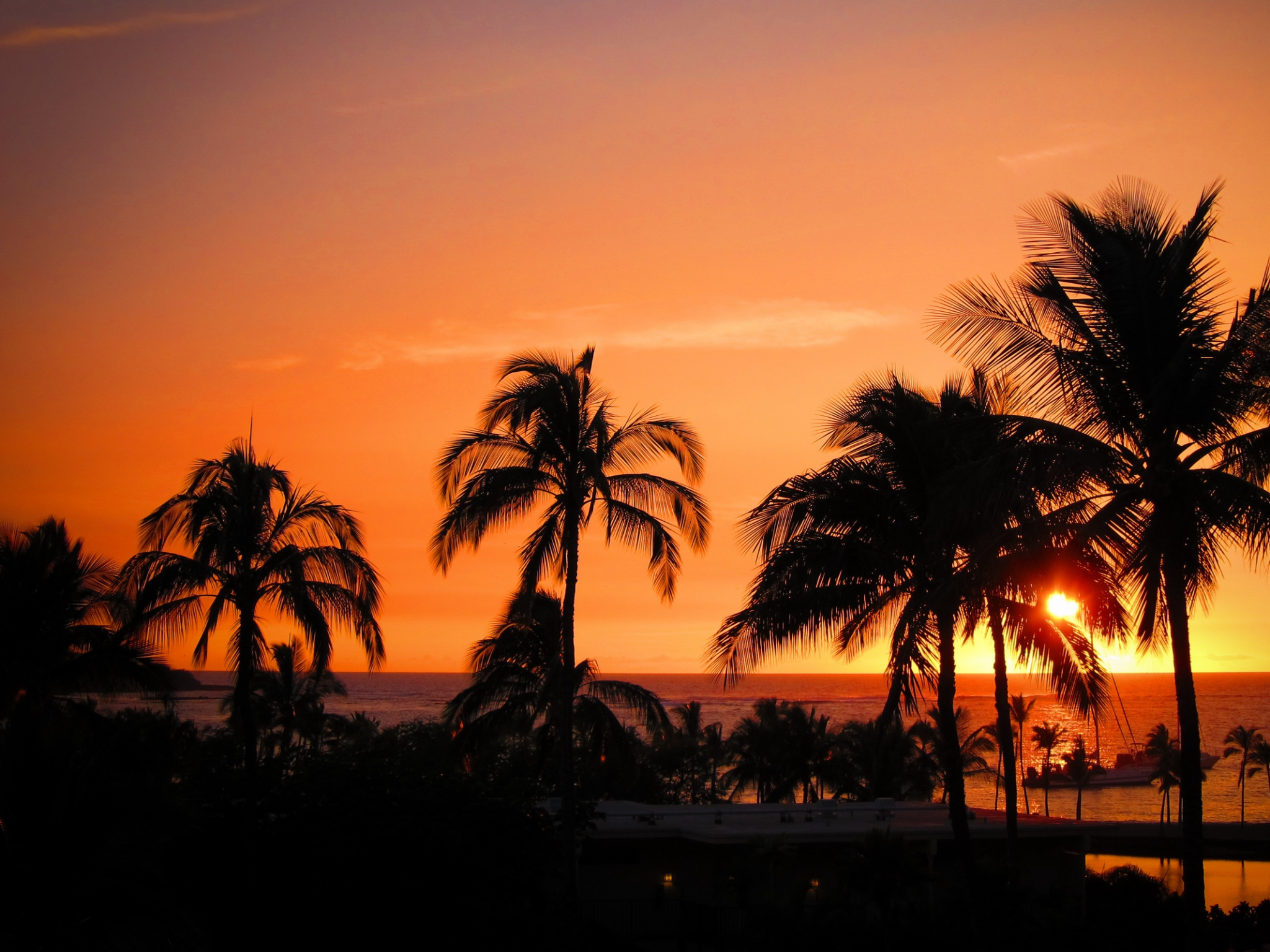 Beach, Oahu, Tropics, Arecales, Dusk Wallpaper In Resolution - Palm Trees Sunset Wallpaper Iphone , HD Wallpaper & Backgrounds