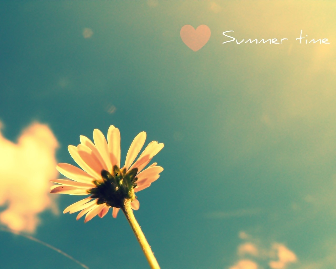 Summer, Season, Flower, Plant, Sky, Clouds, Summer - Summer Desktop Backgrounds , HD Wallpaper & Backgrounds