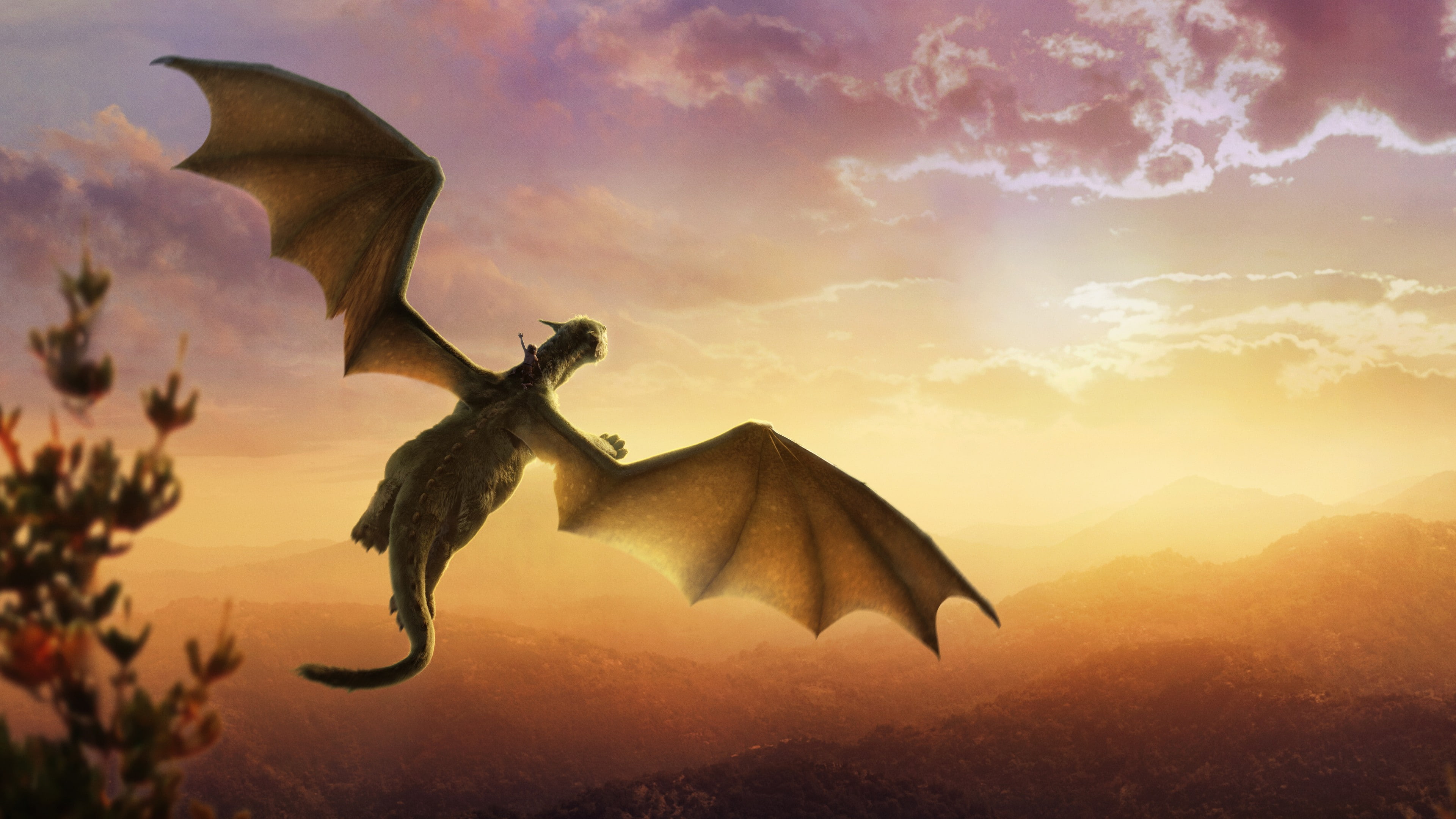 Closeup Photo Of Flying Dragon During Golden Time Graphic - Pete's Dragon Flying , HD Wallpaper & Backgrounds