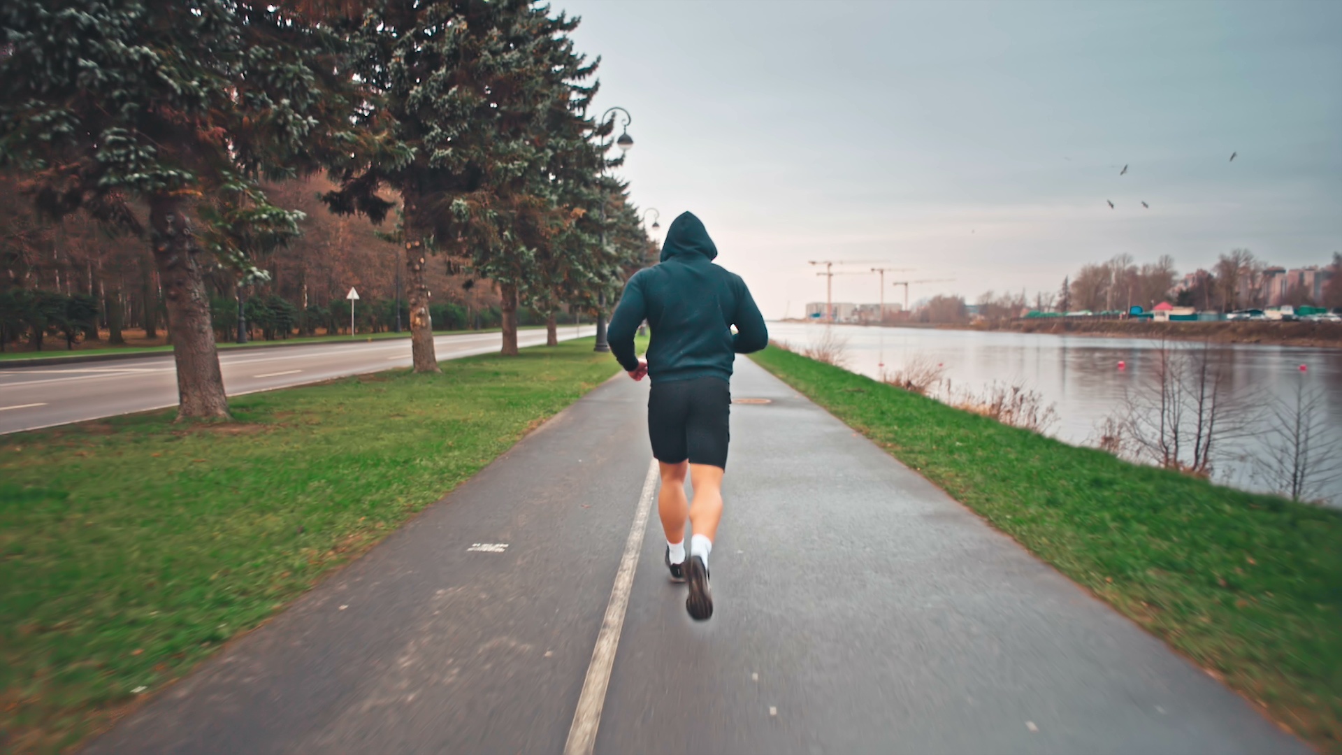 Jogging At The Park , HD Wallpaper & Backgrounds