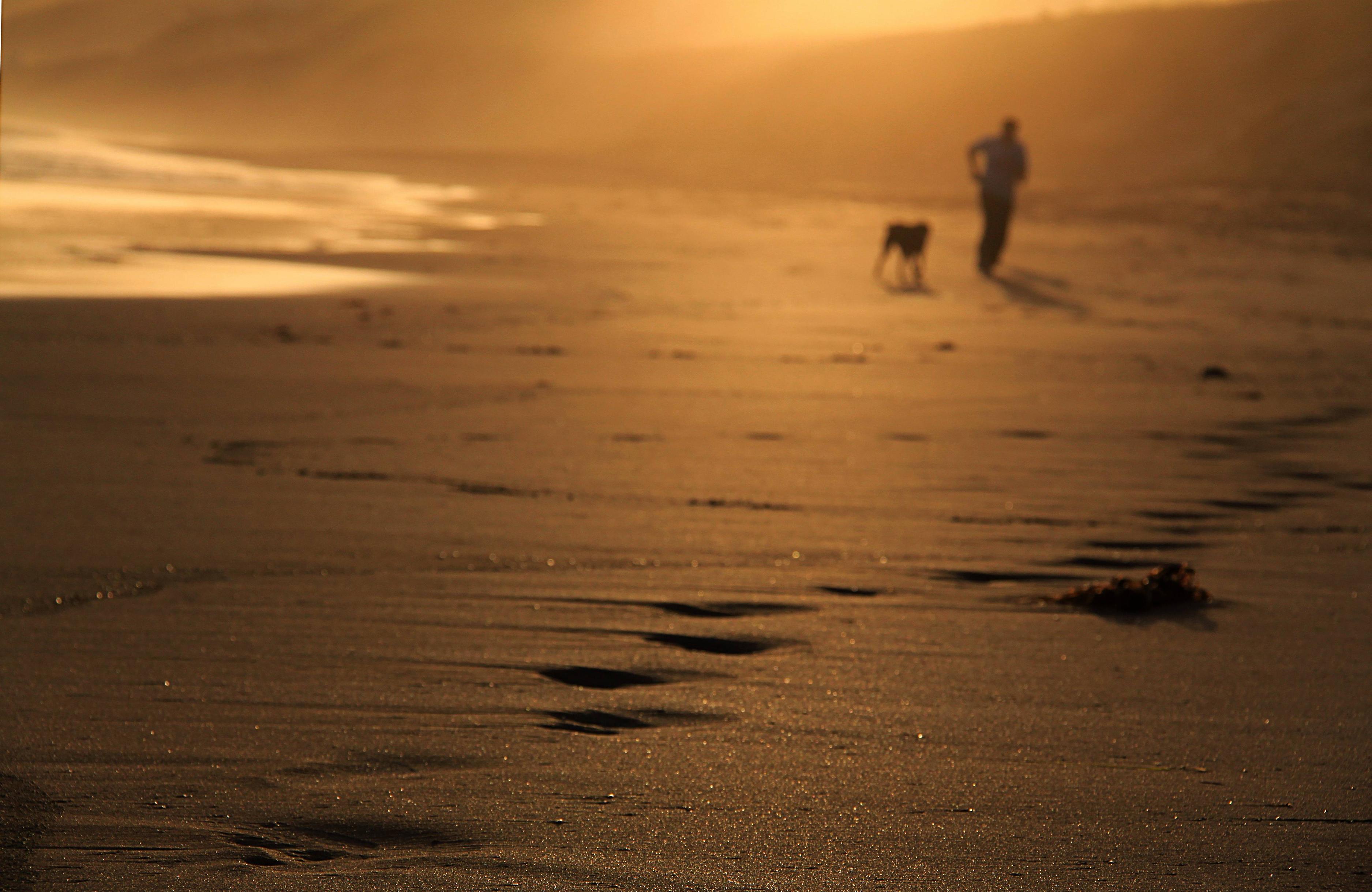 Wallpaper Of A Man Jogging With His Dog By The Beach - Display Resolution , HD Wallpaper & Backgrounds