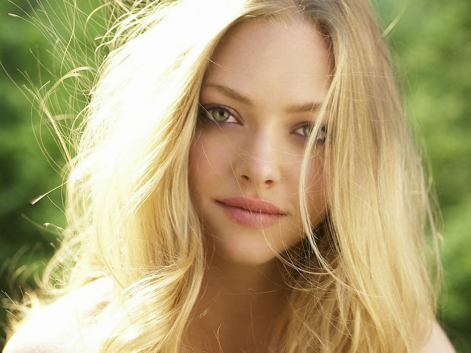 Amanda Sayfried Is Very Beautiful And Smart Actress,this - Amanda Seyfried , HD Wallpaper & Backgrounds