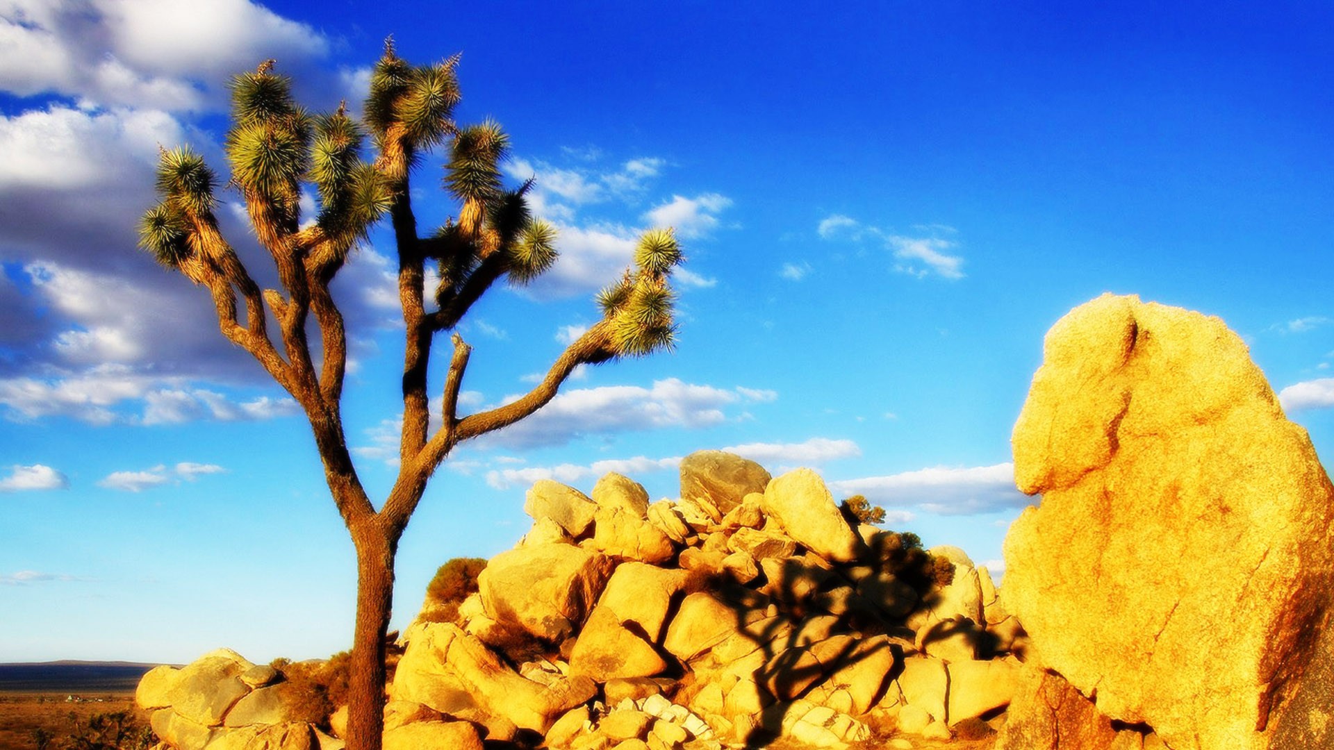California Mojave Desert , HD Wallpaper & Backgrounds
