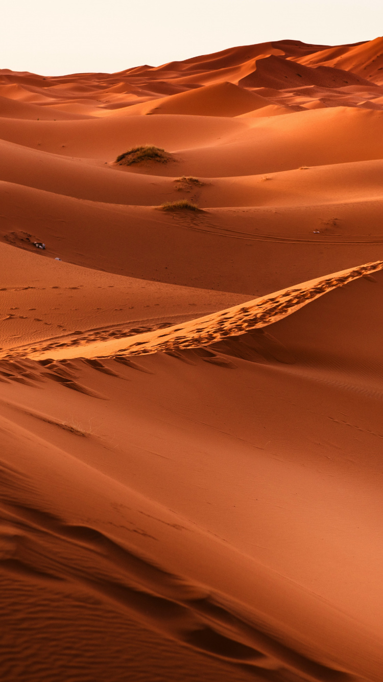 Morocco, Desert, Sand, Dunes, Wallpaper - Cold And Hot Desert , HD Wallpaper & Backgrounds