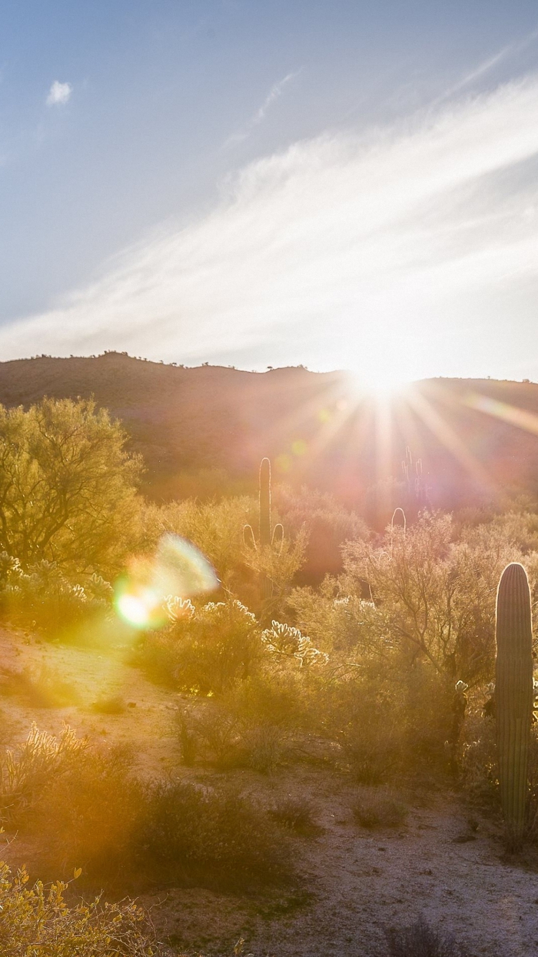 Nature Desert Sunrise Iphone 6 Wallpapers Hd - Sun Rise , HD Wallpaper & Backgrounds