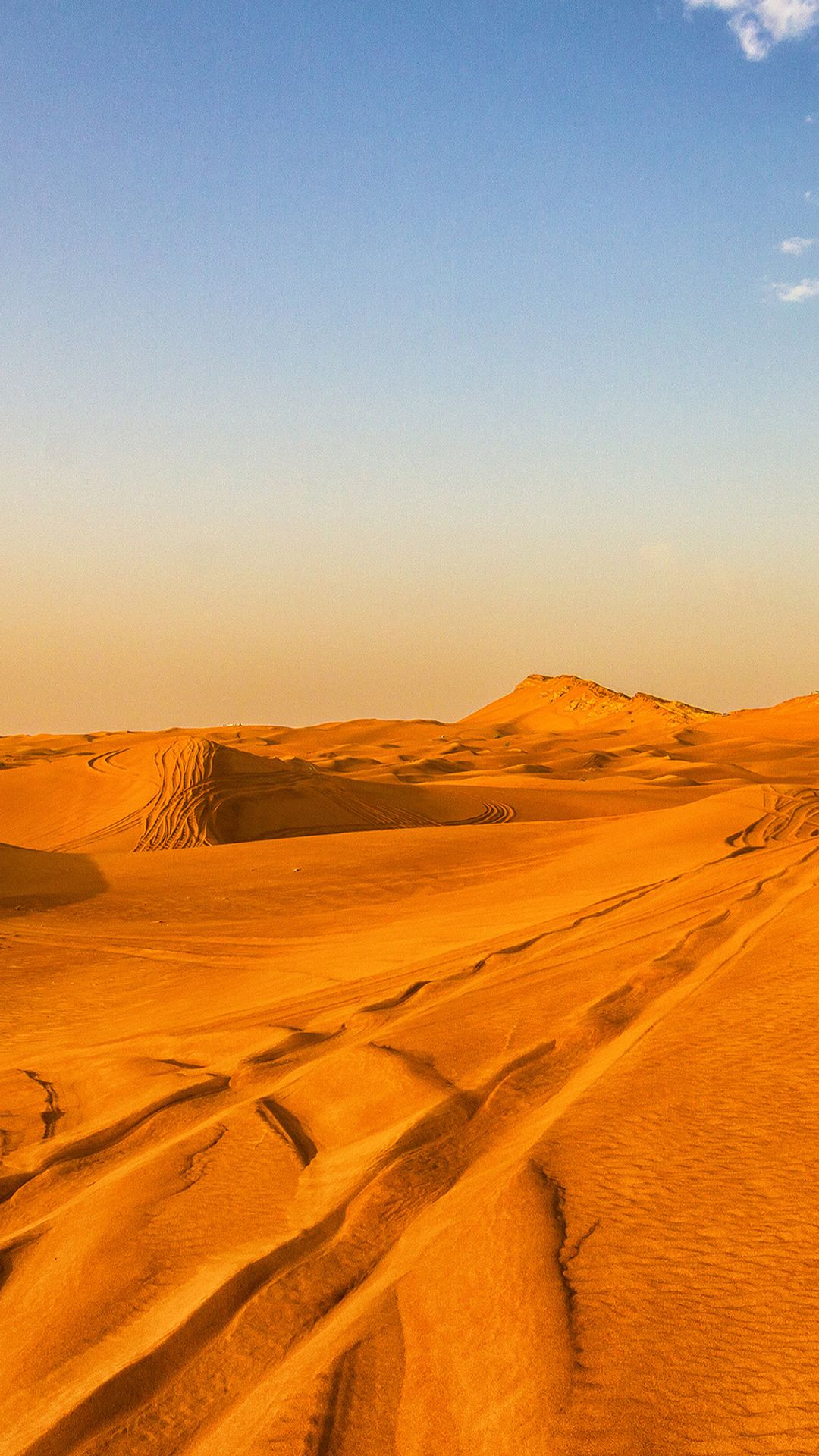 Safari Desert , HD Wallpaper & Backgrounds