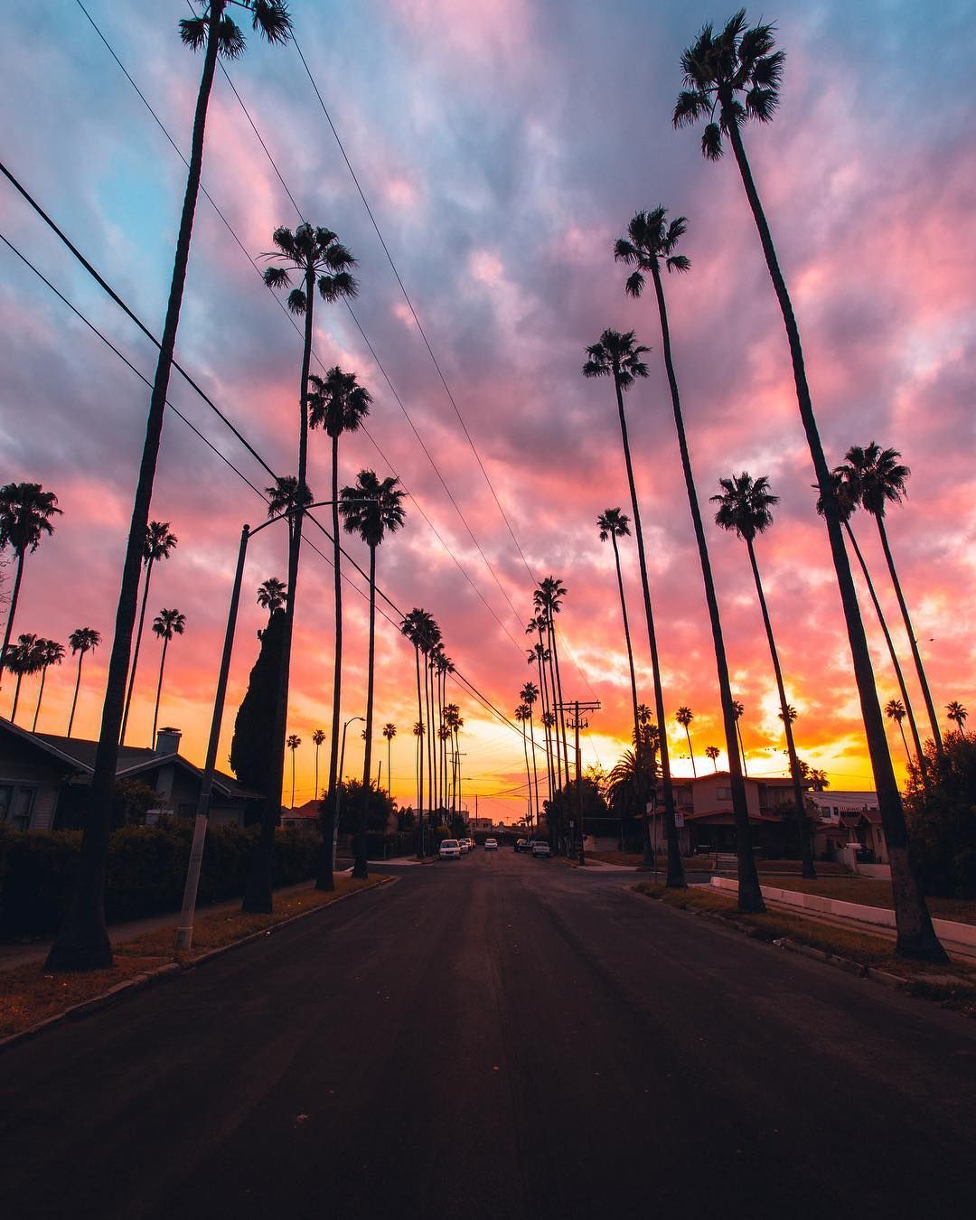 La, California Palm Trees Tumblr, Cute Iphone Wallpaper - Iphone Wallpaper Lowrider Sunset , HD Wallpaper & Backgrounds