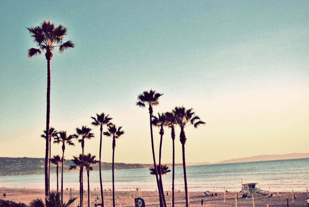 California Beaches Tumblr Wallpaper - California Dreaming Palm Trees , HD Wallpaper & Backgrounds