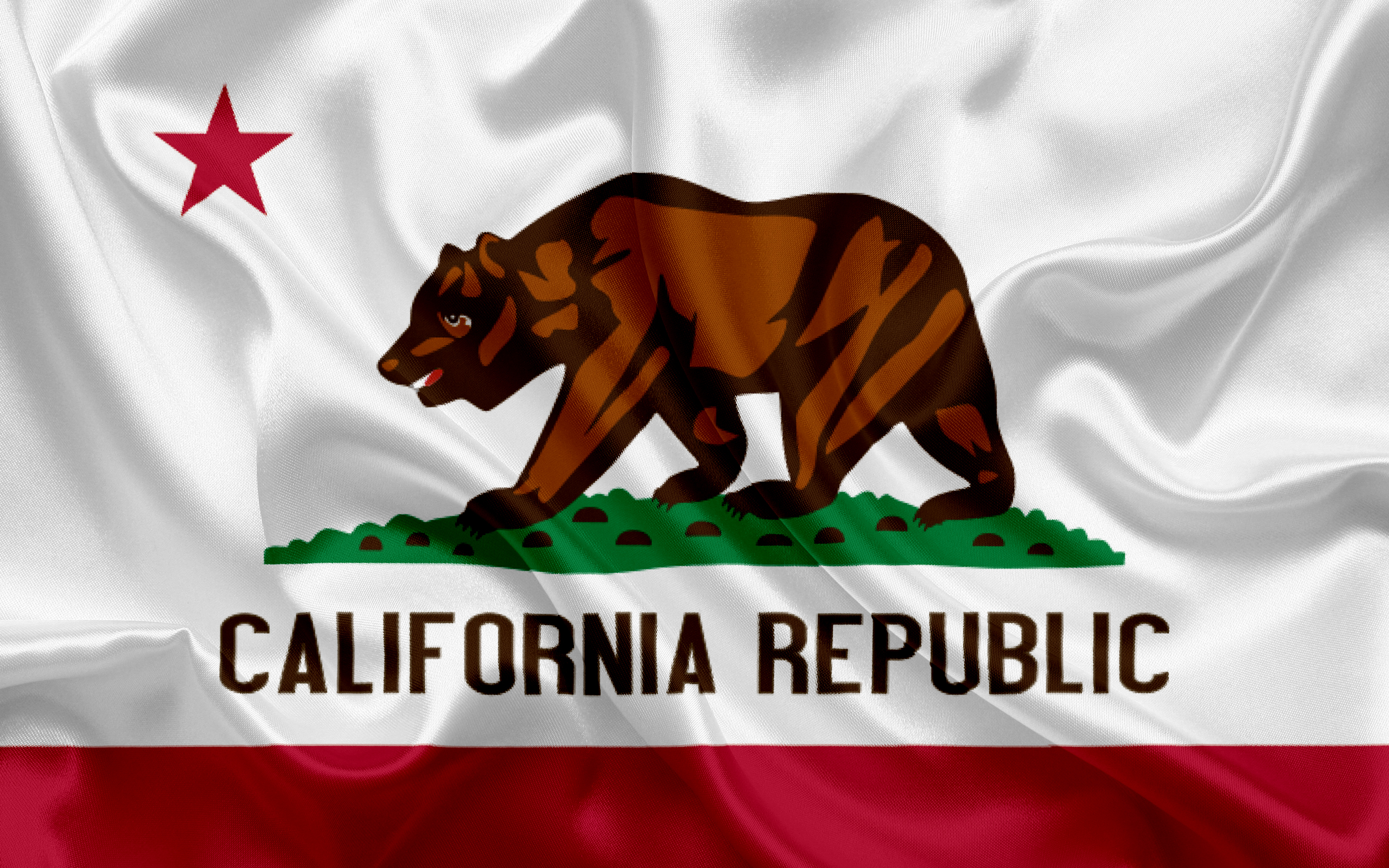California Flag, Flags Of States, Flag State Of California, - Large California State Flag , HD Wallpaper & Backgrounds